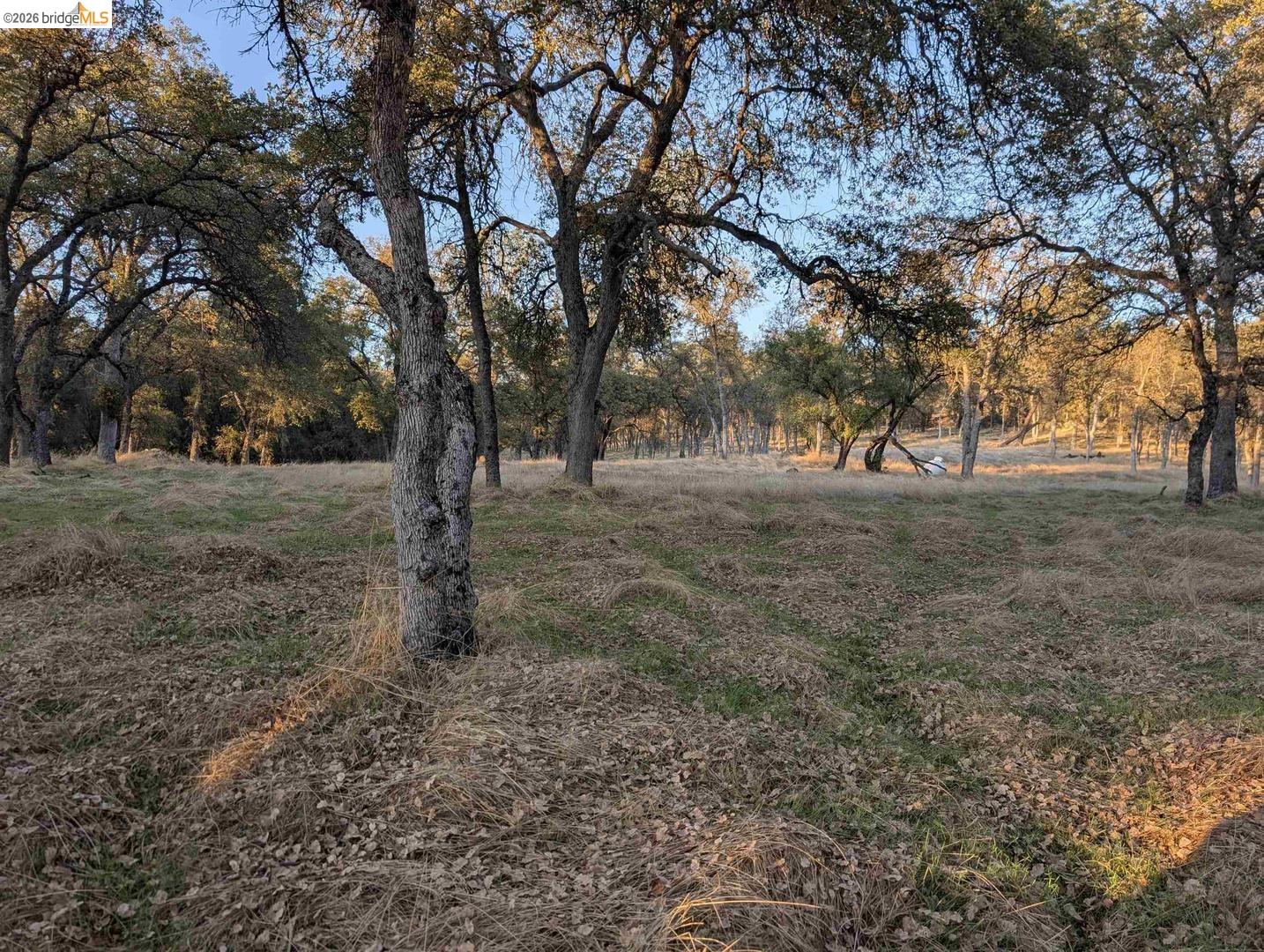 Detail Gallery Image 21 of 24 For 18340 Henry D Ct, Sonora,  CA 95370 - – Beds | – Baths