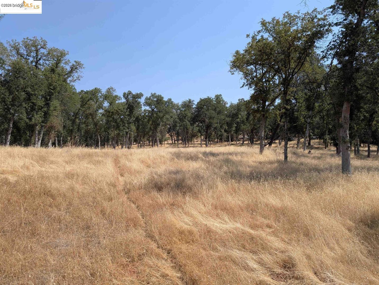 Detail Gallery Image 8 of 24 For 18340 Henry D Ct, Sonora,  CA 95370 - – Beds | – Baths