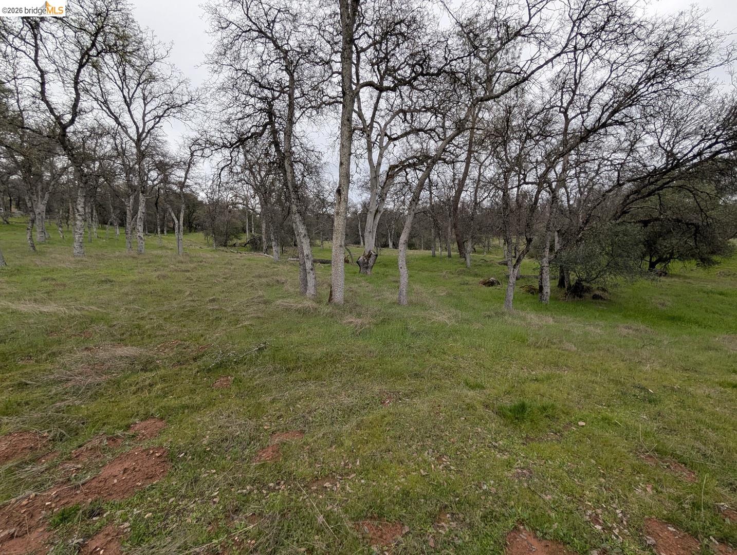 18340 Henry D CT, Sonora CA 95370 — photo 9