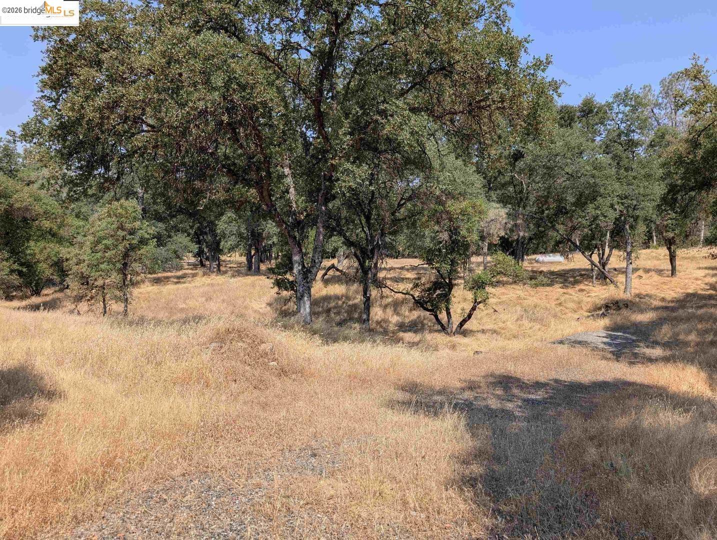 Detail Gallery Image 9 of 24 For 18340 Henry D Ct, Sonora,  CA 95370 - – Beds | – Baths