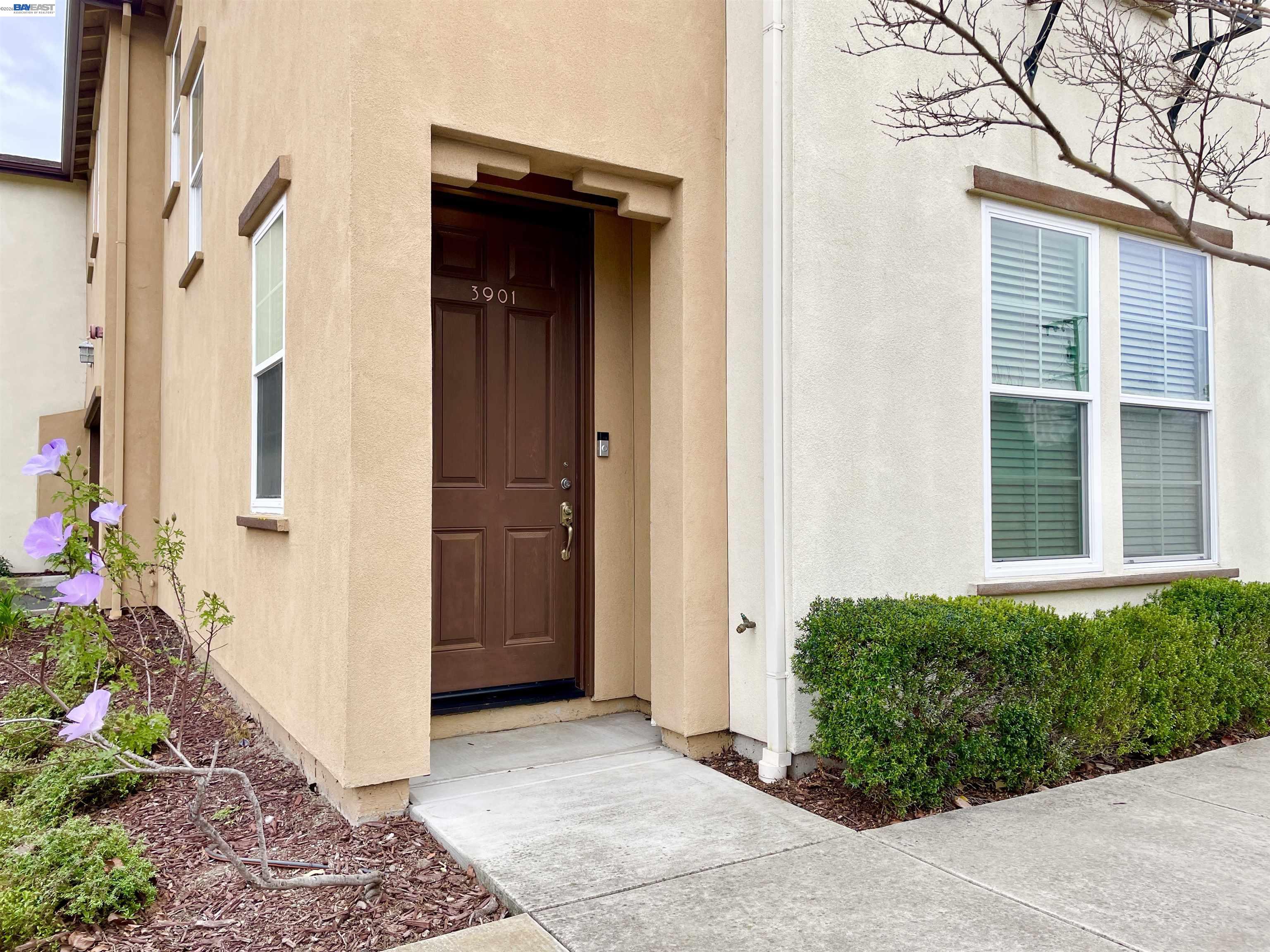 Photo #4: 41125553 Listing: Photo #4