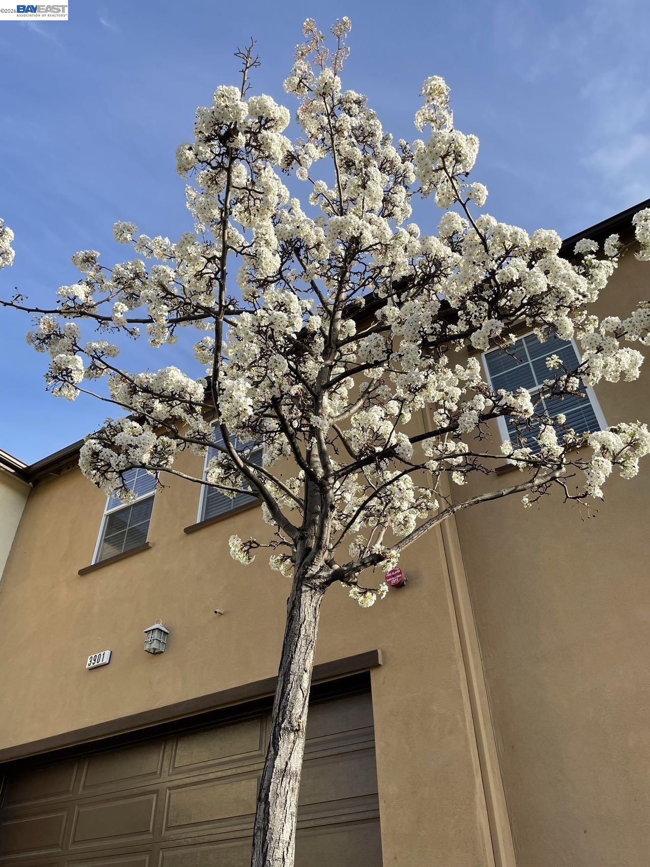 Photo #54: 41125553 Listing: Photo #54