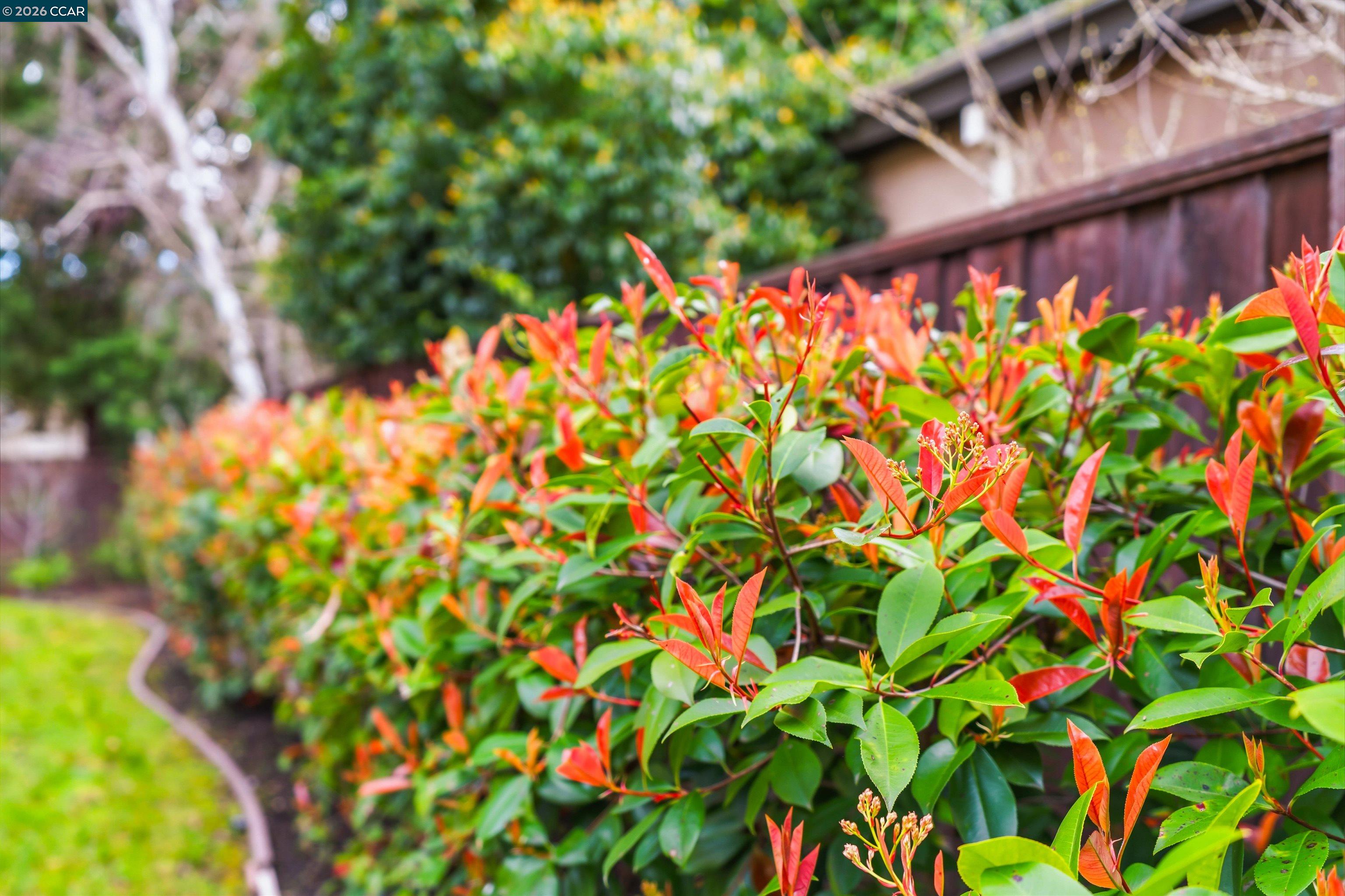 Detail Gallery Image 41 of 50 For 208 Kaitlyn Ln, Danville,  CA 94506 - 5 Beds | 3 Baths