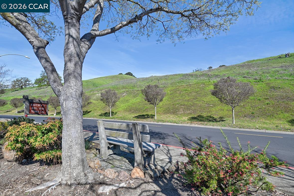 Photo #47: 41125568 Listing: Photo #47