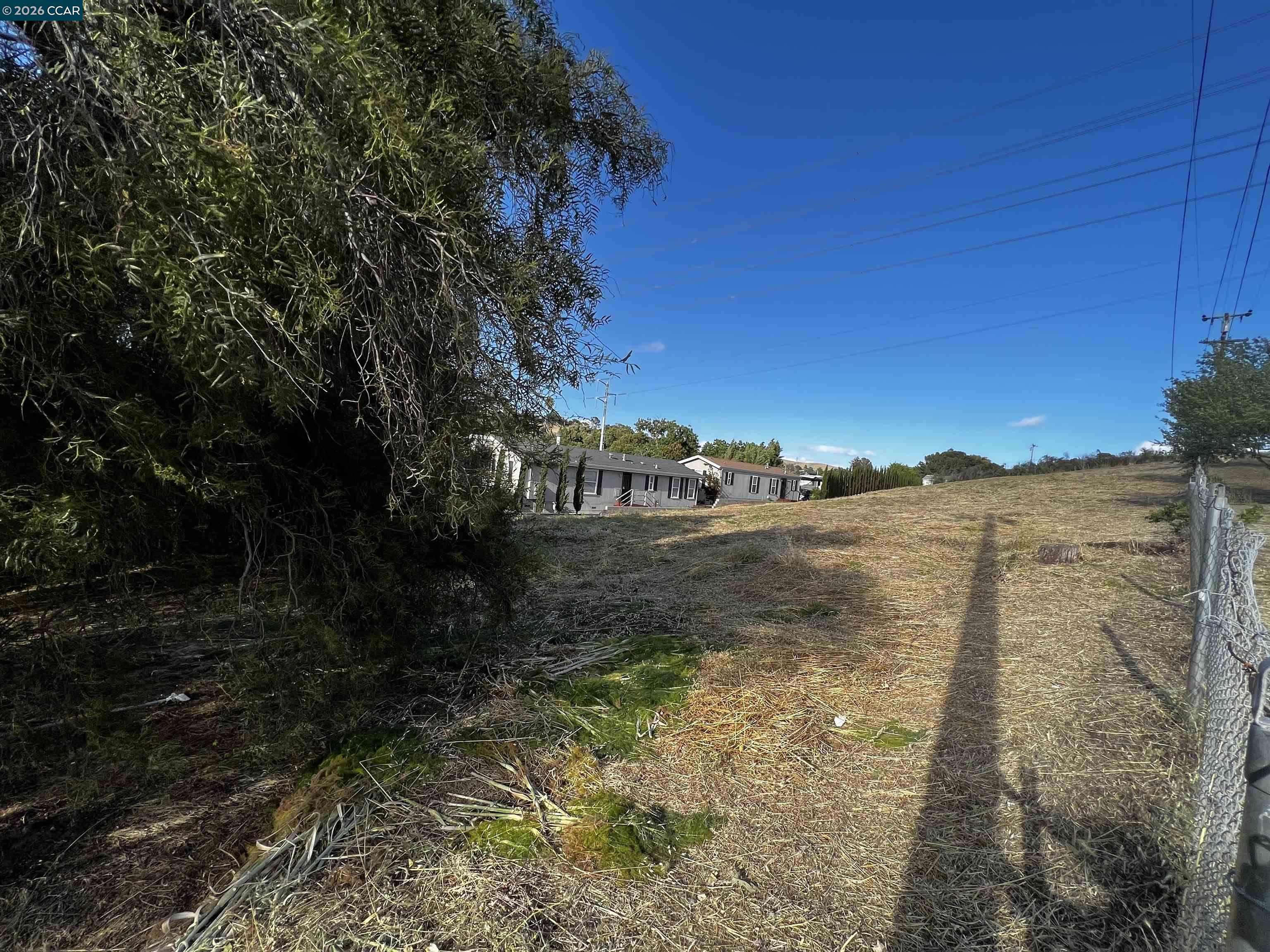 Front Image Thumbnail for CC41125572