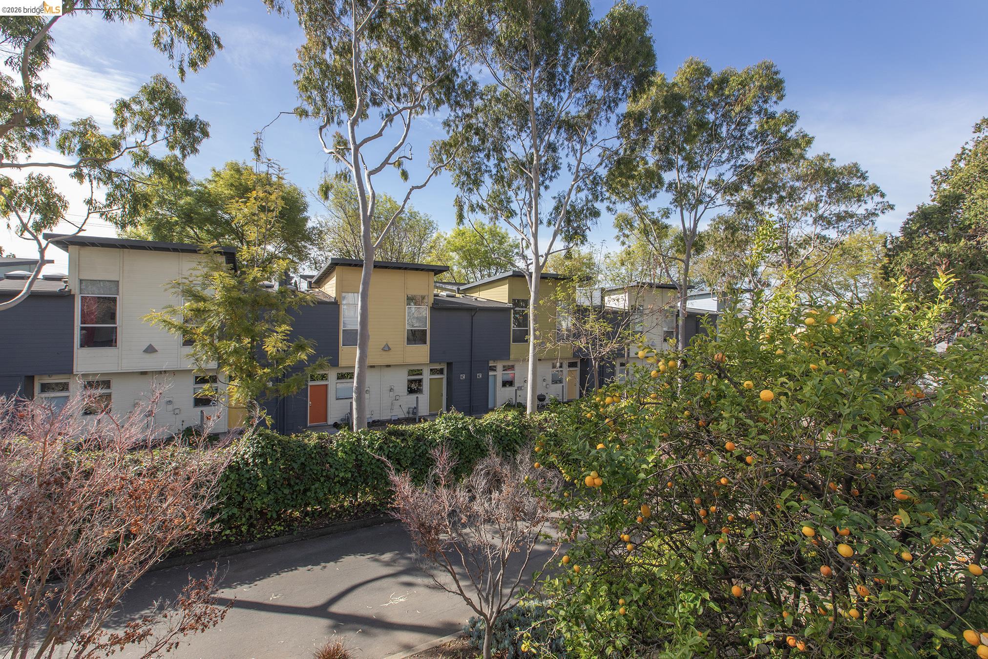 Photo #43: 41125579 Listing: Photo #43