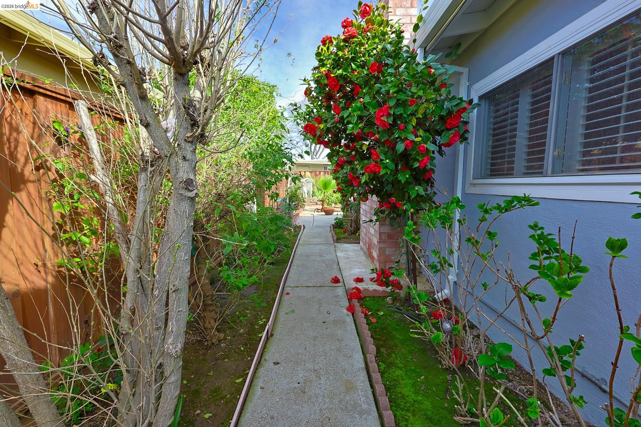 Detail Gallery Image 30 of 34 For 715 Lincoln Ave, Brentwood,  CA 94513 - 3 Beds | 1 Baths