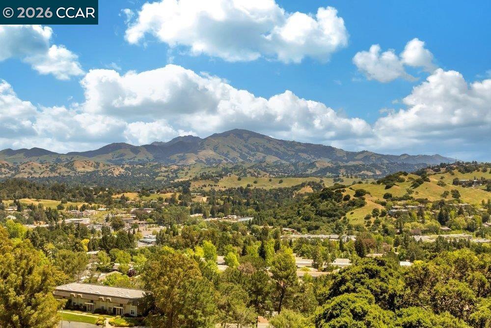 Photo #38: 41125583 Listing: Photo #38