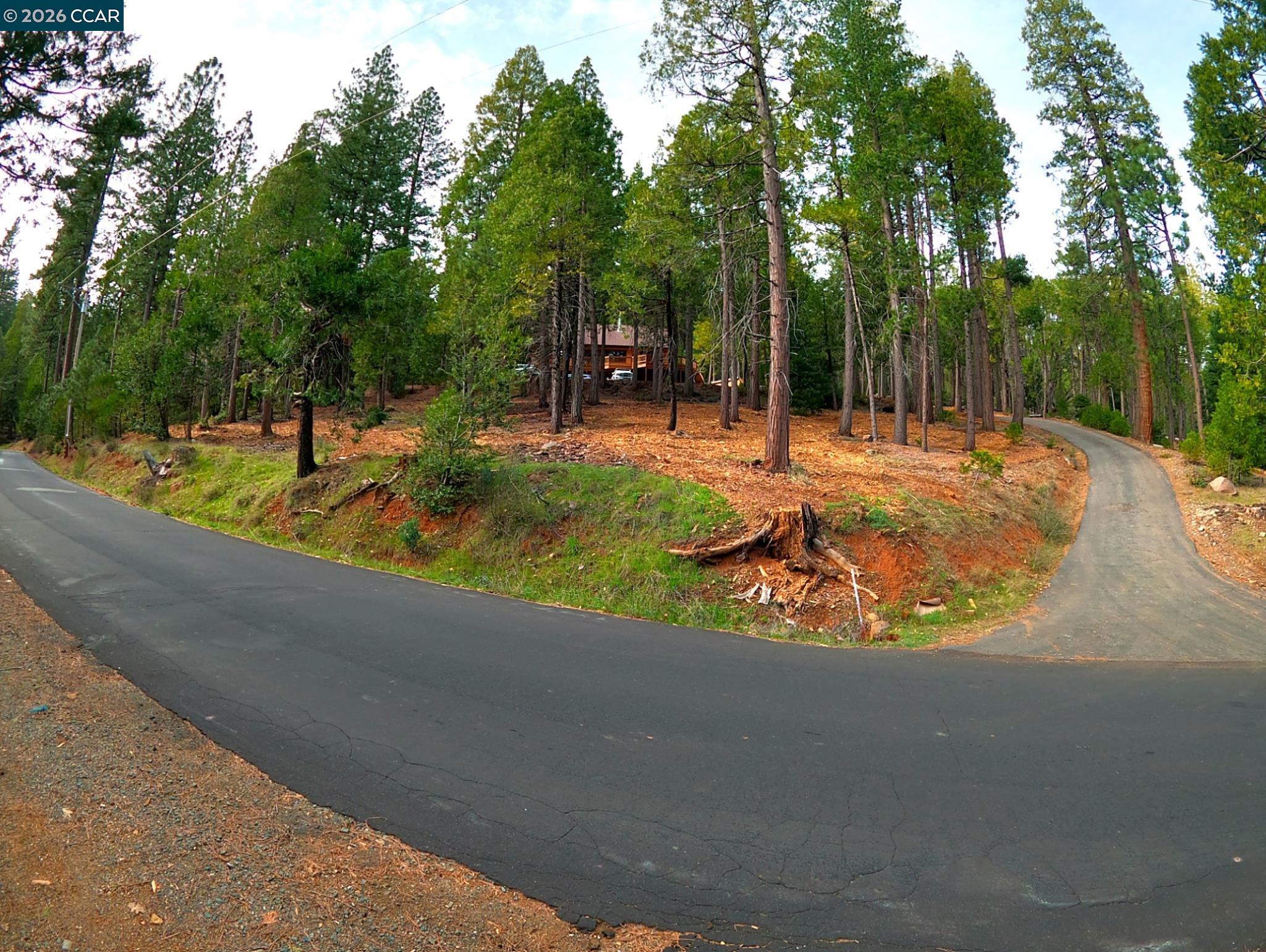 Detail Gallery Image 6 of 40 For 26625 Cedar Ave, Pioneer,  CA 95666 - 3 Beds | 2 Baths