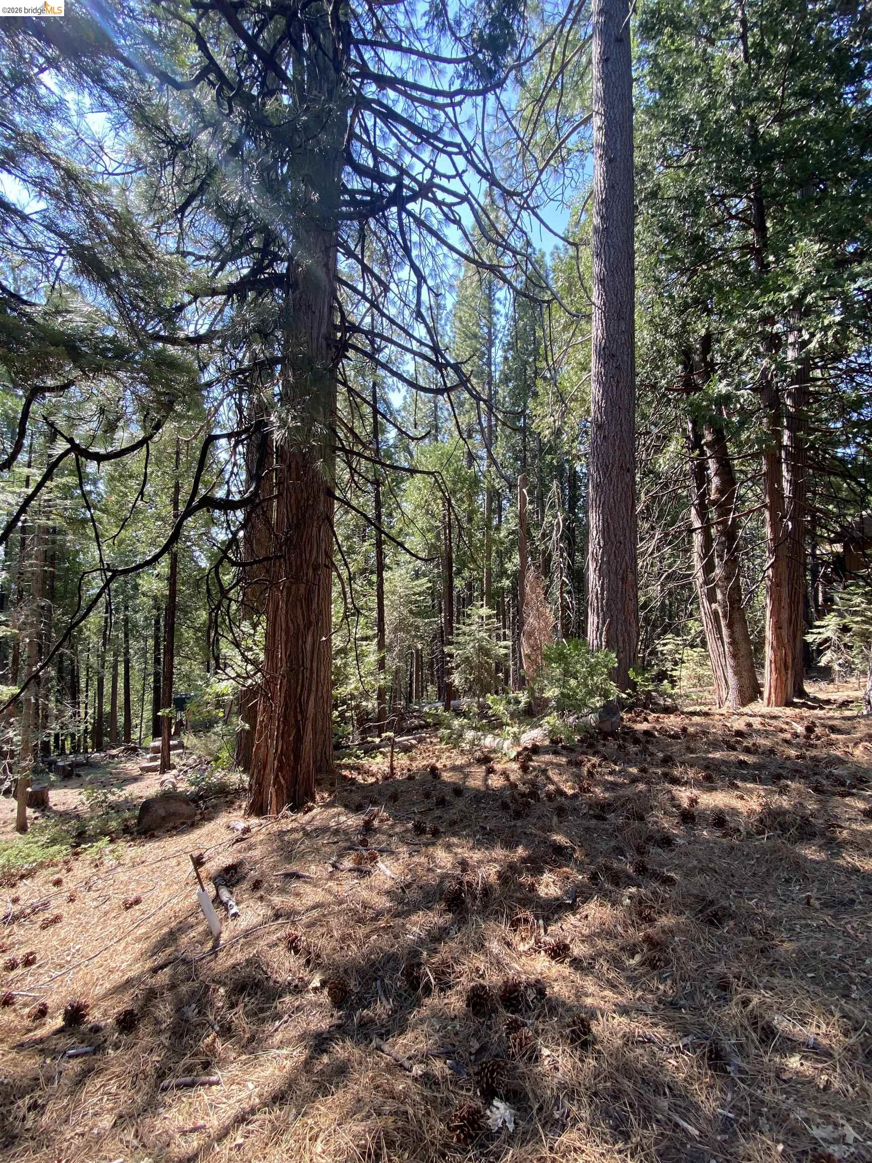 Detail Gallery Image 3 of 4 For 155 Alpine, –,  CA 95335 - – Beds | – Baths