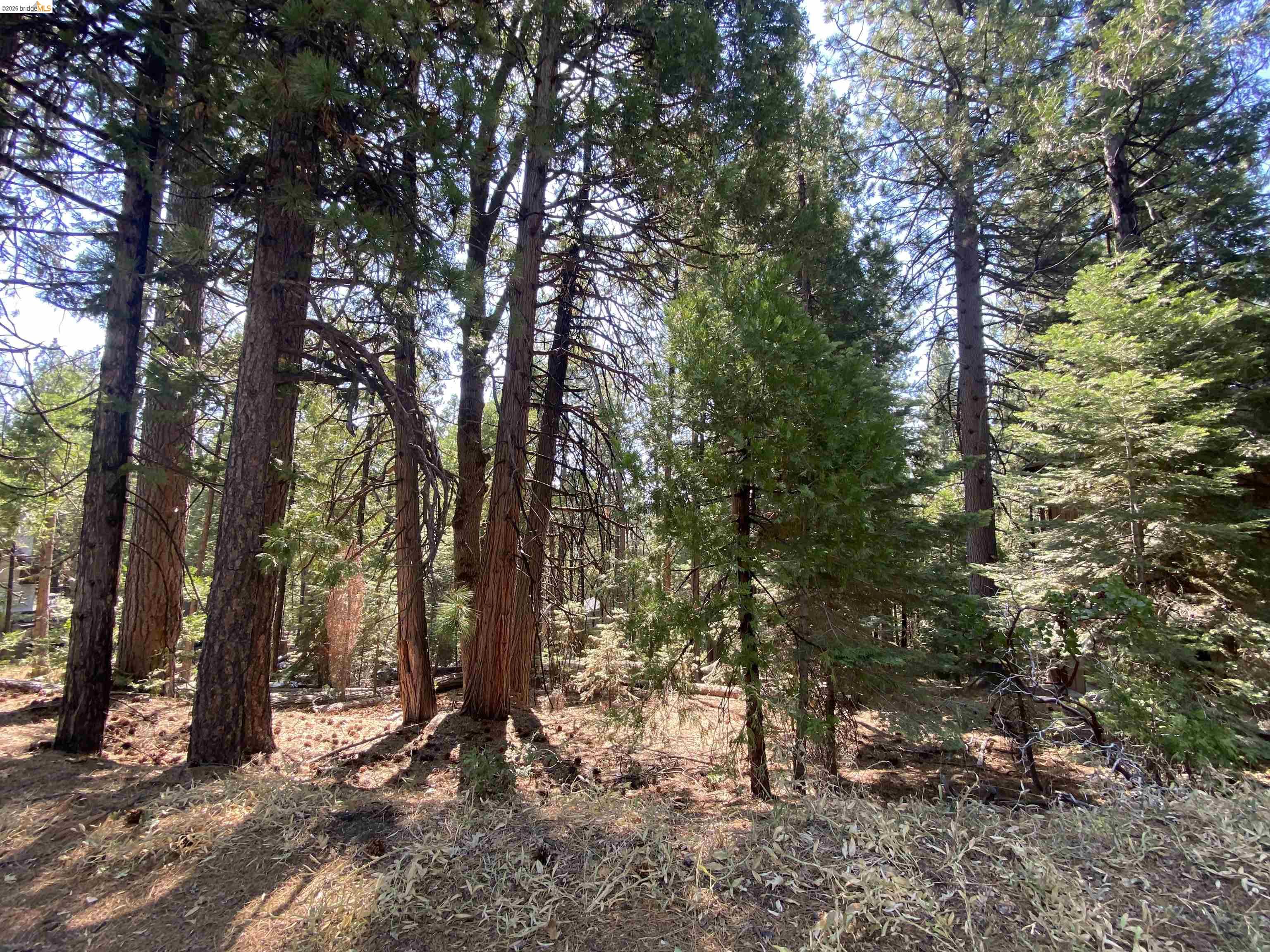 Detail Gallery Image 4 of 4 For 155 Alpine, –,  CA 95335 - – Beds | – Baths