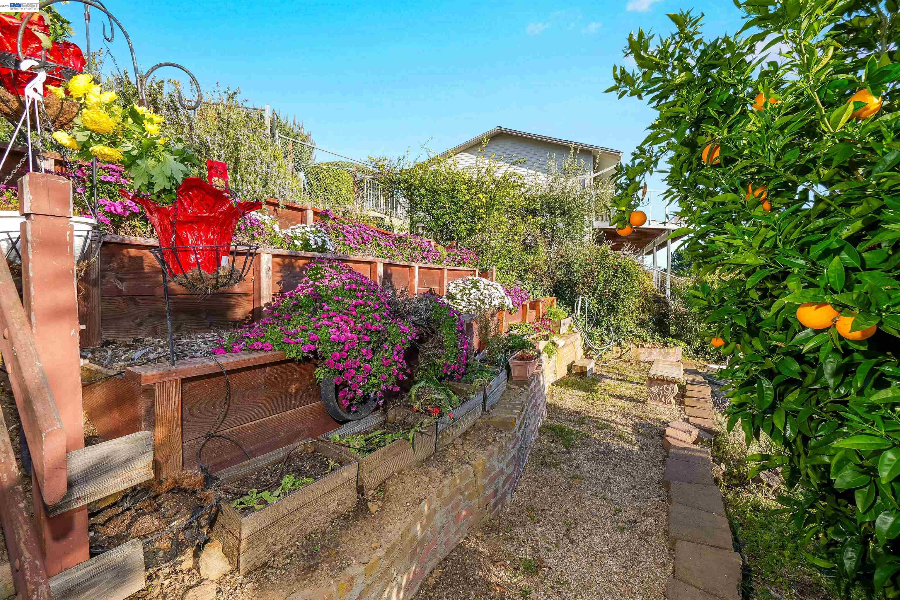 Detail Gallery Image 56 of 60 For 3499 La Mesa Dr, Hayward,  CA 94542 - 5 Beds | 3/1 Baths