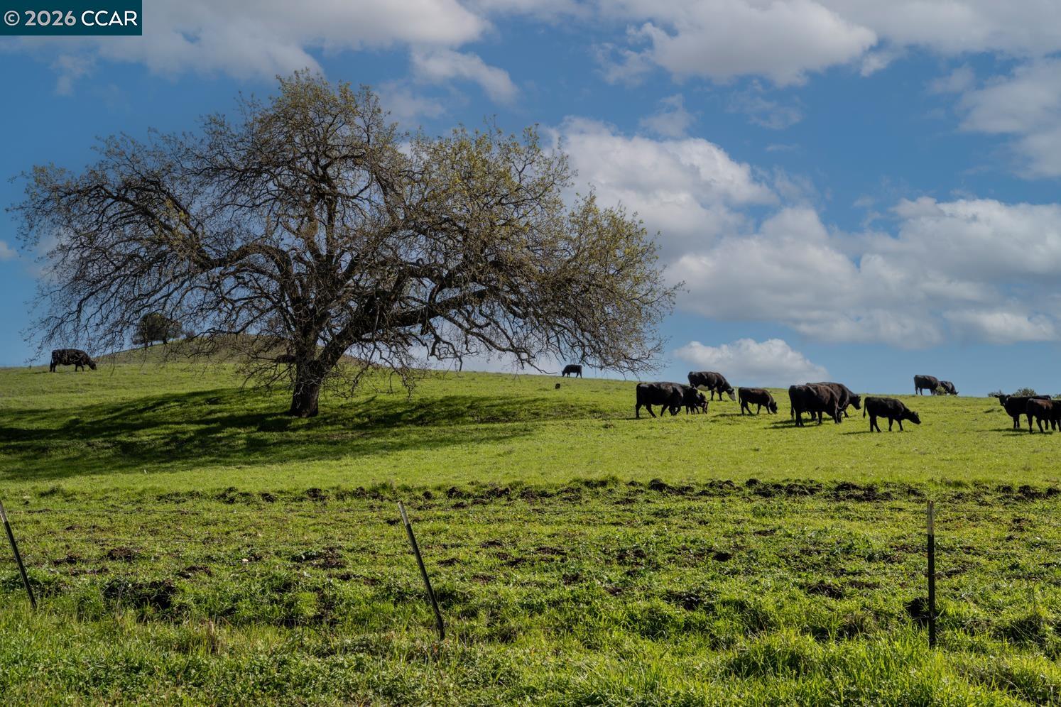 Detail Gallery Image 54 of 58 For 3139 Deerpark Dr, Walnut Creek,  CA 94598 - 5 Beds | 3/1 Baths