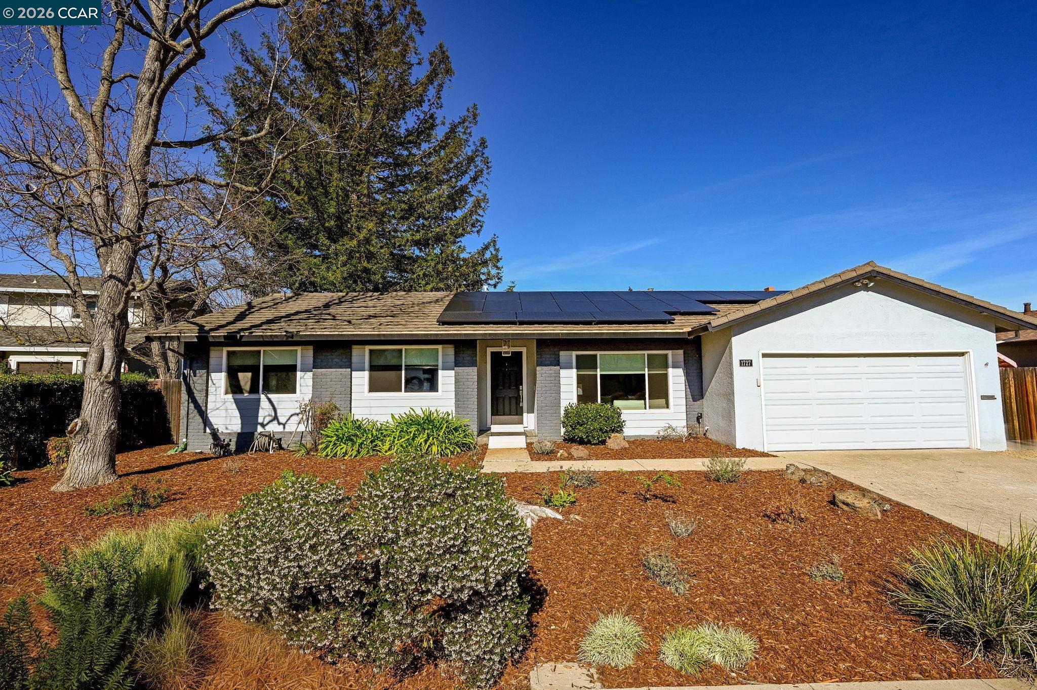 Front Image Thumbnail for CC41125635