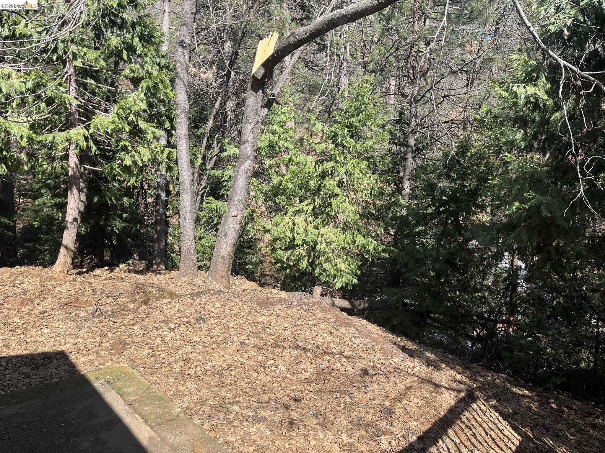 Detail Gallery Image 36 of 40 For 23981 Oxbow Ln, Sonora,  CA 95370 - 3 Beds | 2 Baths