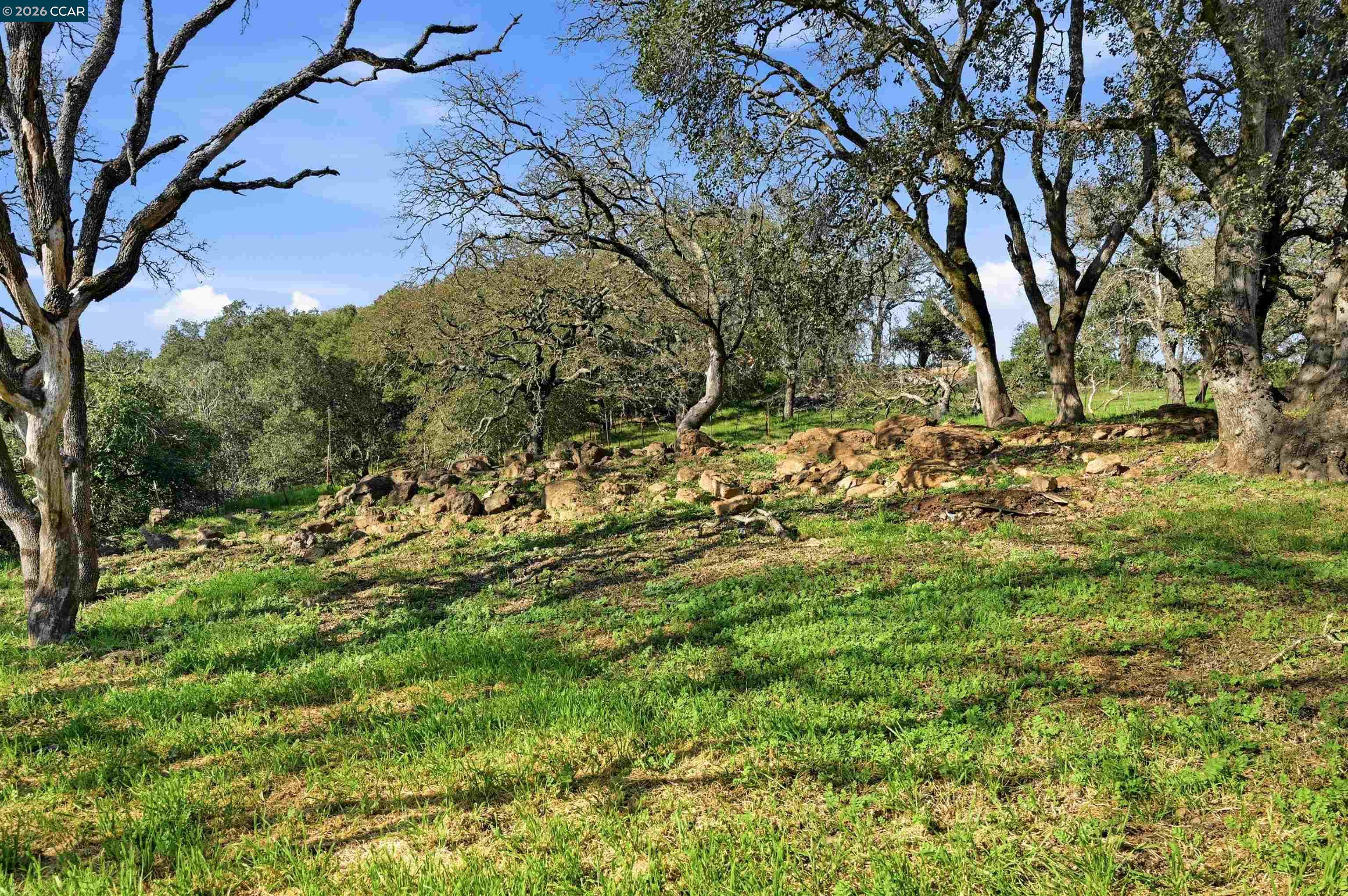 Detail Gallery Image 22 of 55 For 2087 1st Ave, Napa,  CA 94558 - 4 Beds | 2 Baths