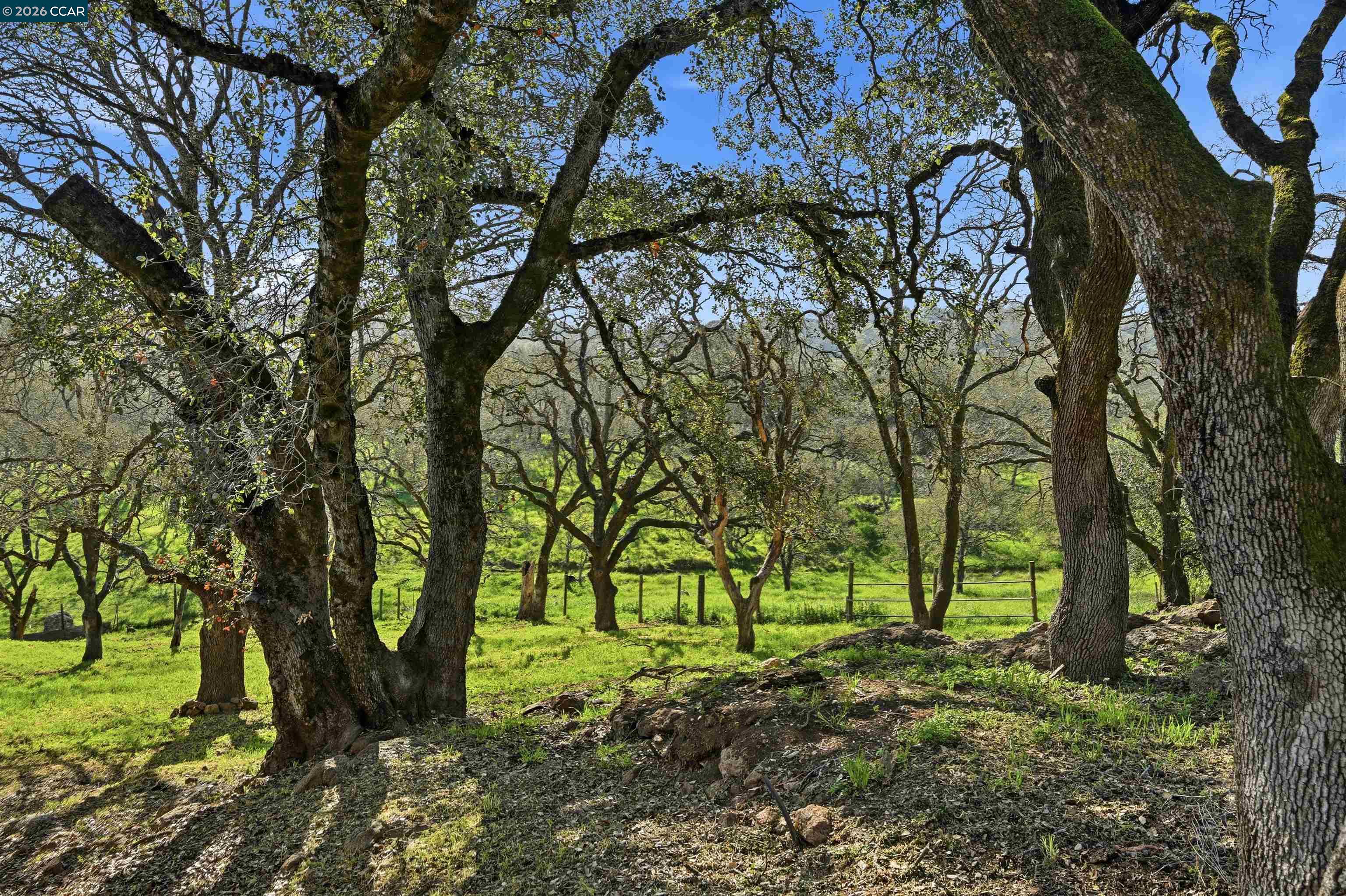 Detail Gallery Image 9 of 55 For 2087 1st Ave, Napa,  CA 94558 - 4 Beds | 2 Baths