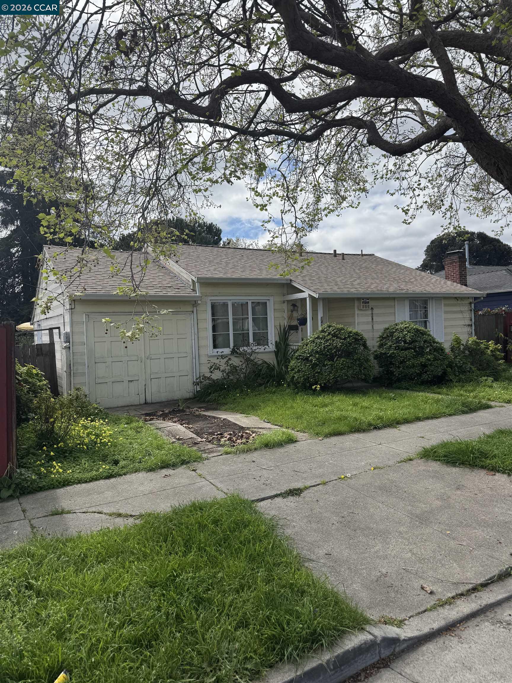 Front Image Thumbnail for CC41125689