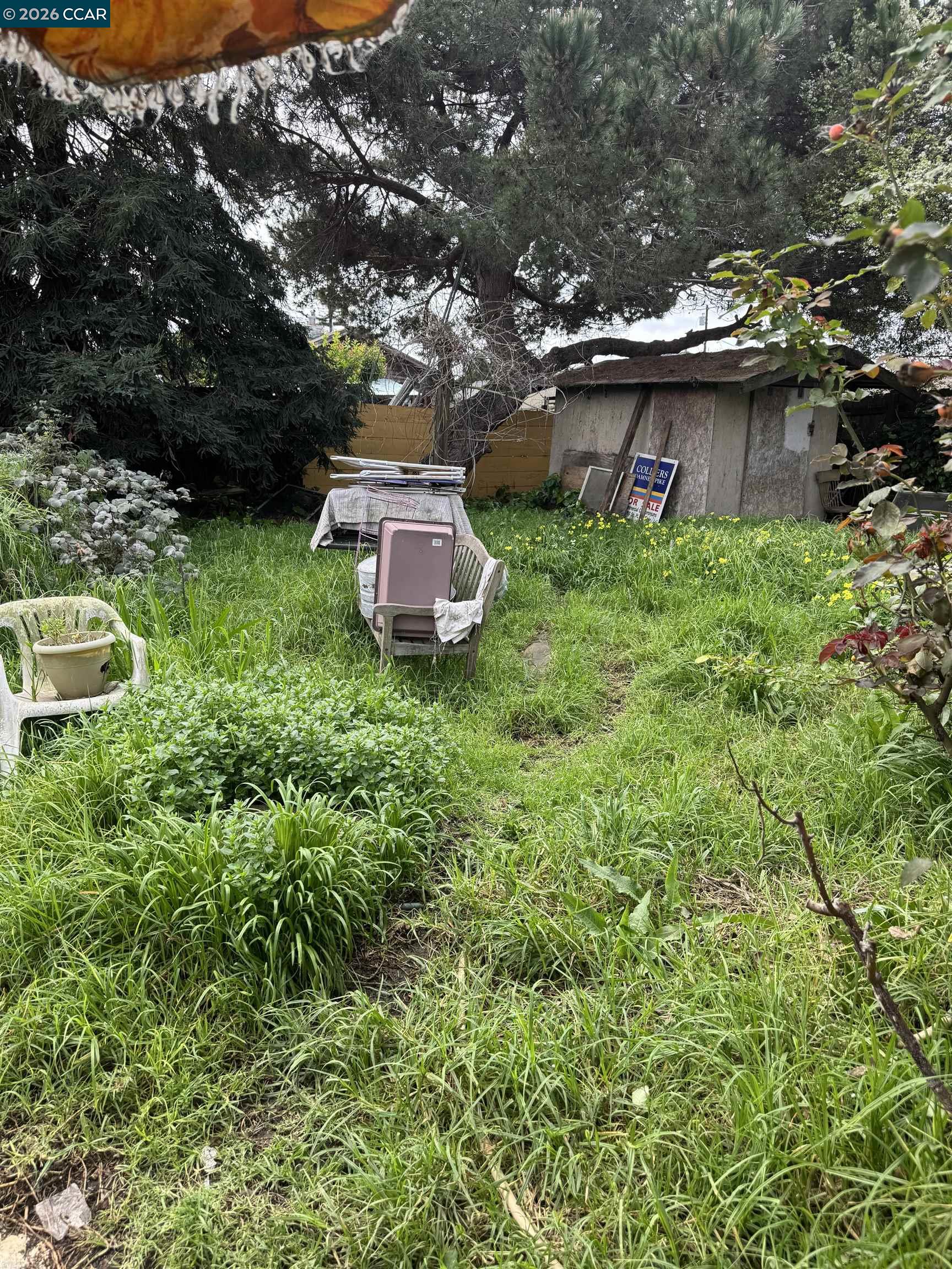 Detail Gallery Image 10 of 12 For 1418 Esmond Ave, Richmond,  CA 94801 - 2 Beds | 1 Baths