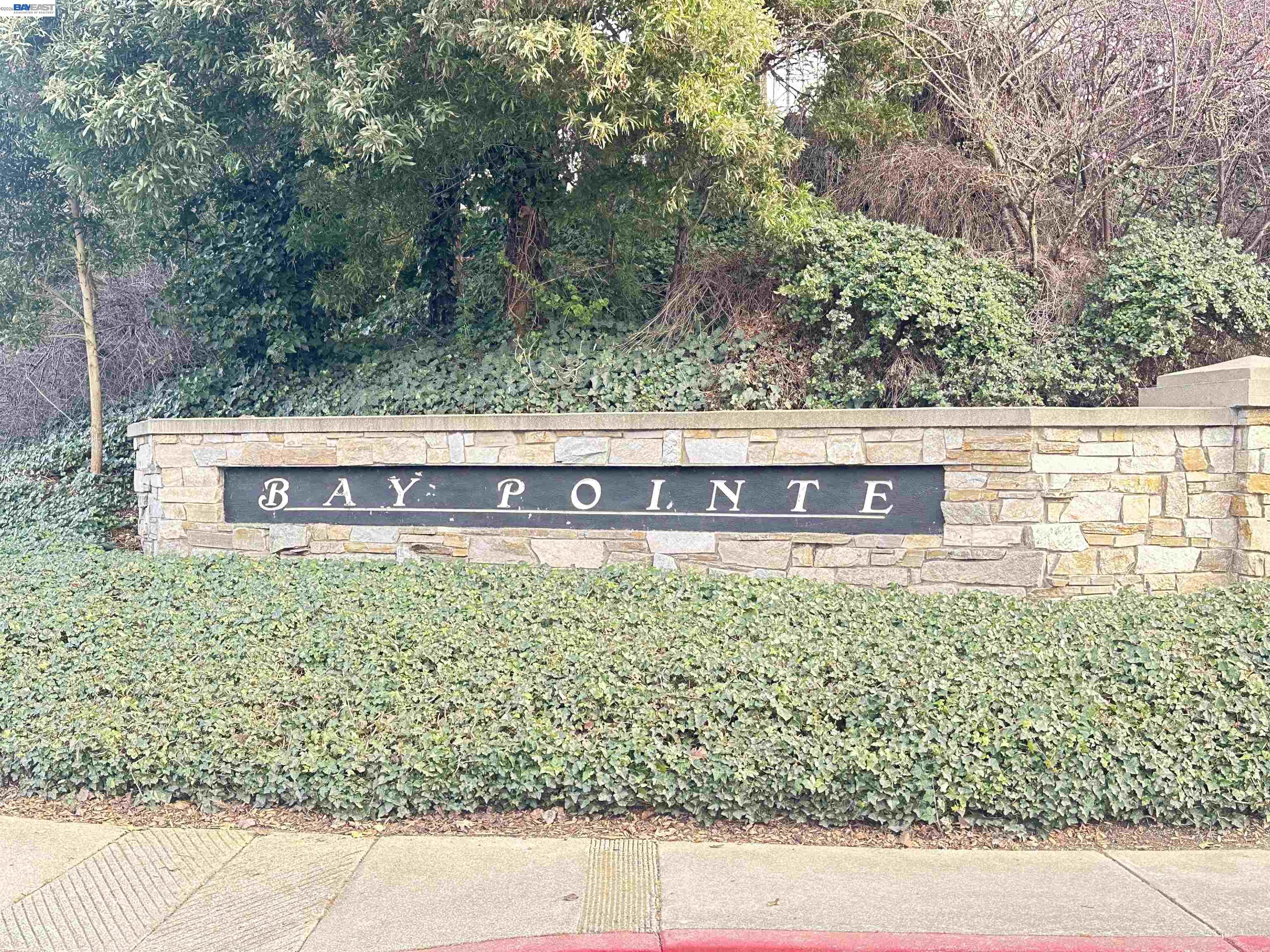 Photo #36: 41125696 Listing: Photo #36