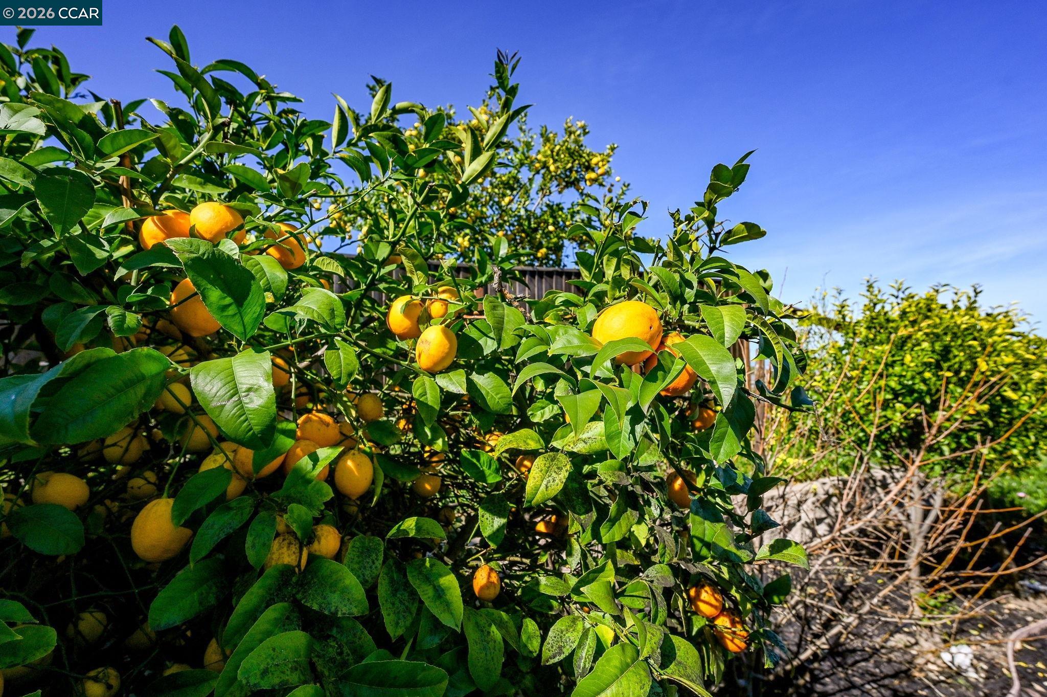 Detail Gallery Image 28 of 41 For 130 Savona Way, Bay Point,  CA 94565 - 4 Beds | 2/1 Baths