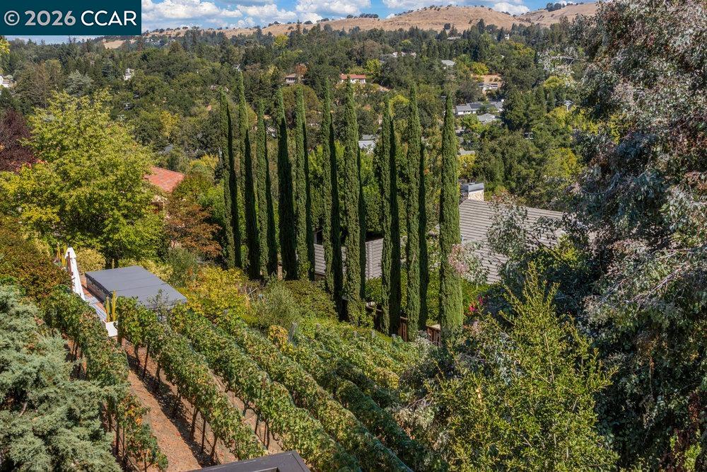 Detail Gallery Image 50 of 51 For 154 Rudgear Drive, Walnut Creek,  CA 94596 - 4 Beds | 2/1 Baths