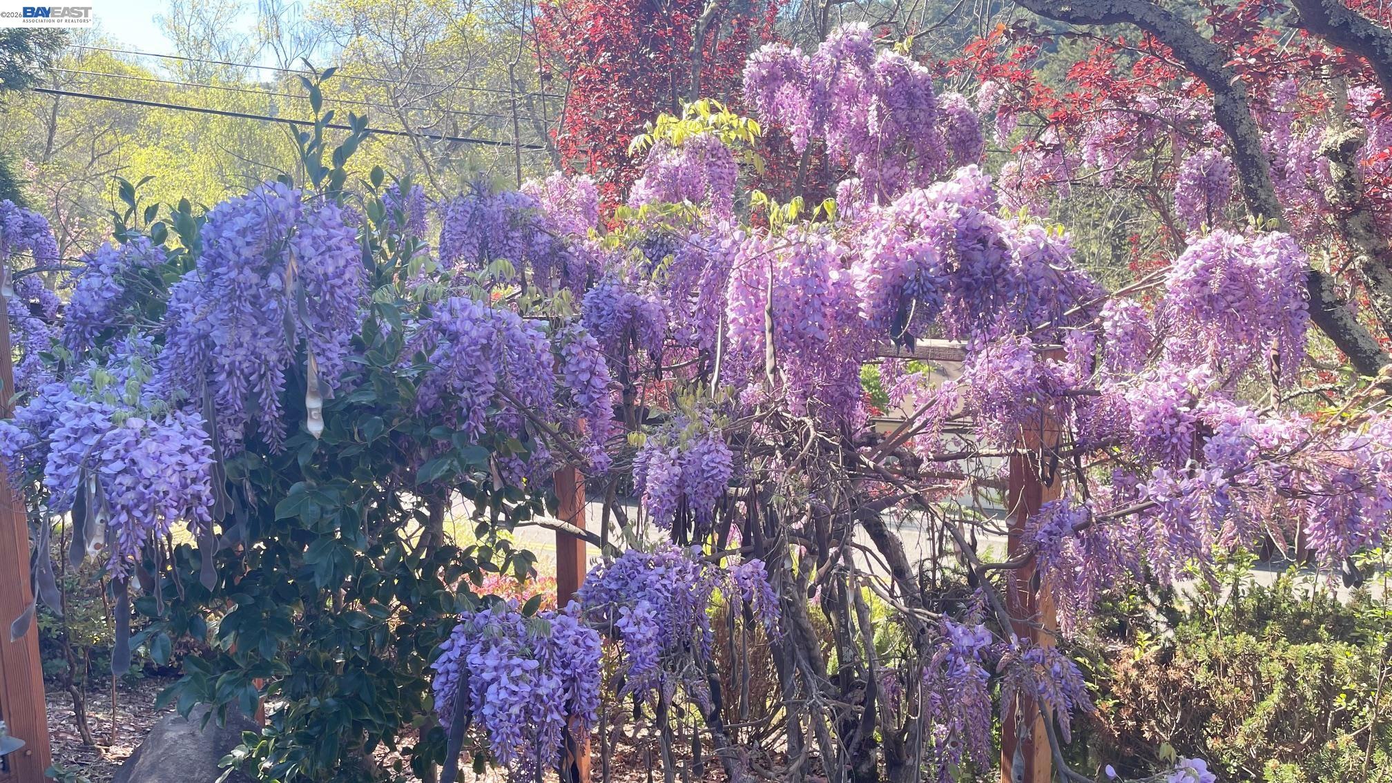 Detail Gallery Image 3 of 44 For 275 Orchard Rd, Orinda,  CA 94563 - 3 Beds | 2/1 Baths