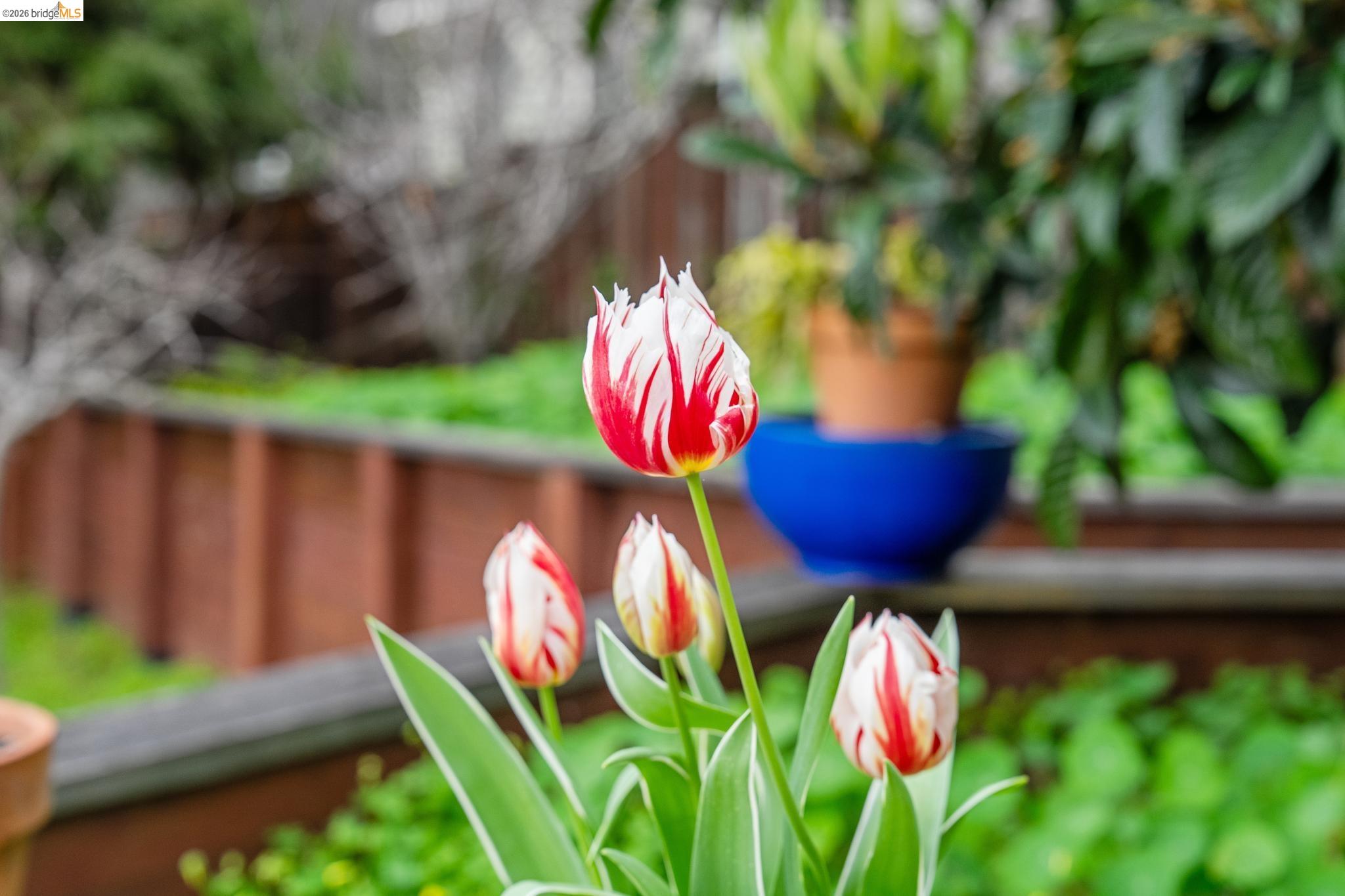 Detail Gallery Image 40 of 56 For 5845 Bernhard Ave, Richmond,  CA 94805 - 3 Beds | 1/1 Baths
