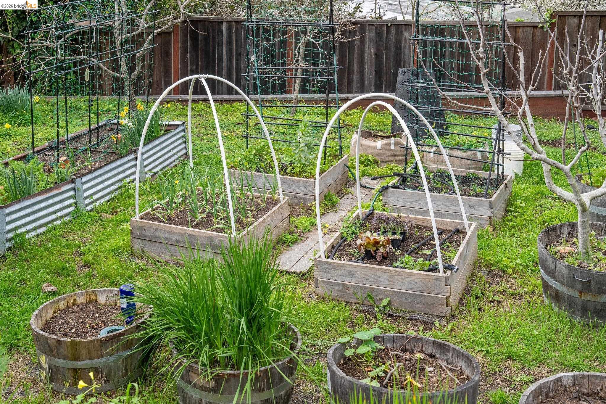 Detail Gallery Image 48 of 56 For 5845 Bernhard Ave, Richmond,  CA 94805 - 3 Beds | 1/1 Baths