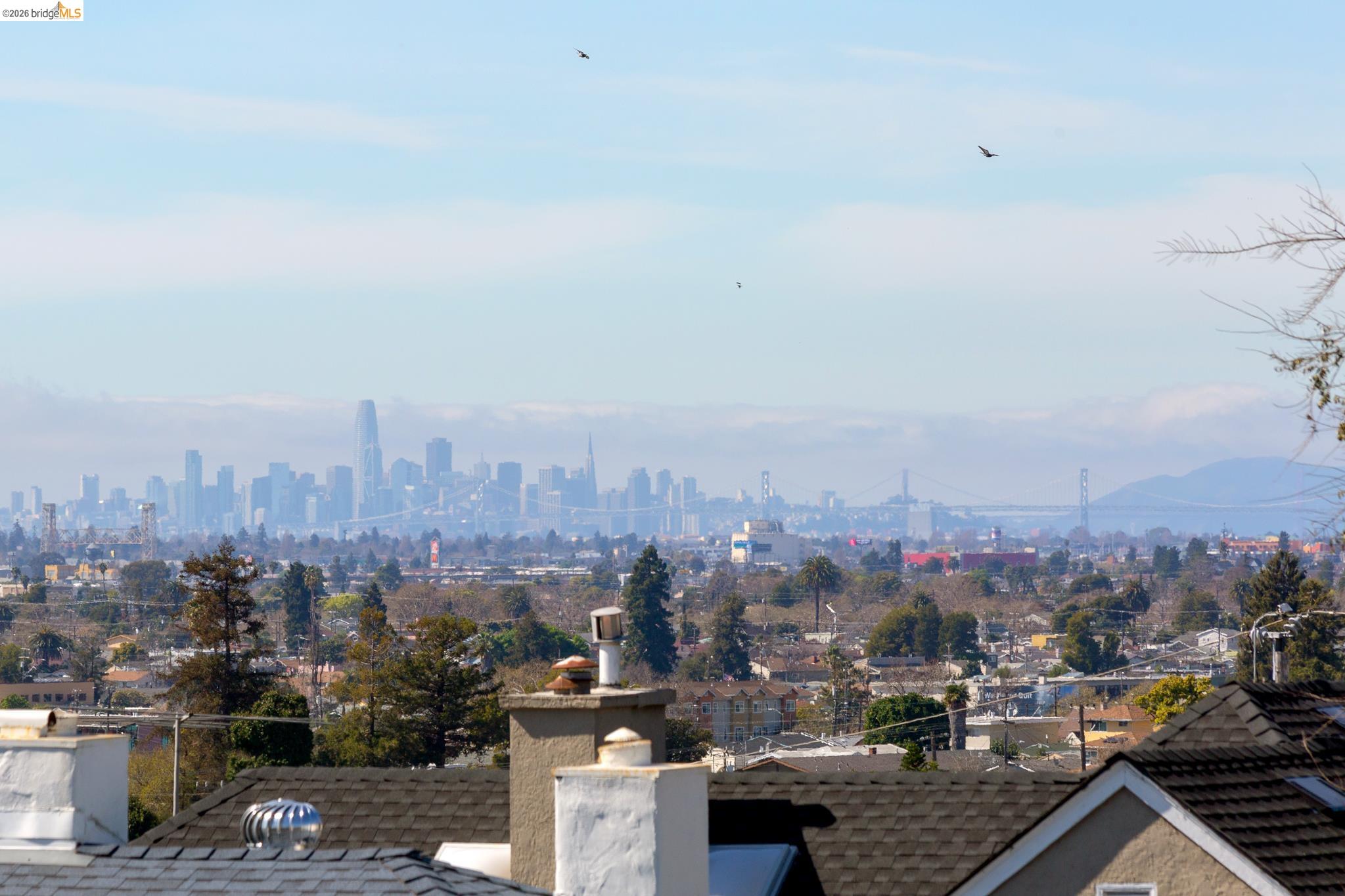 Detail Gallery Image 20 of 59 For 8301 Ney Ave, Oakland,  CA 94605 - 4 Beds | 3 Baths