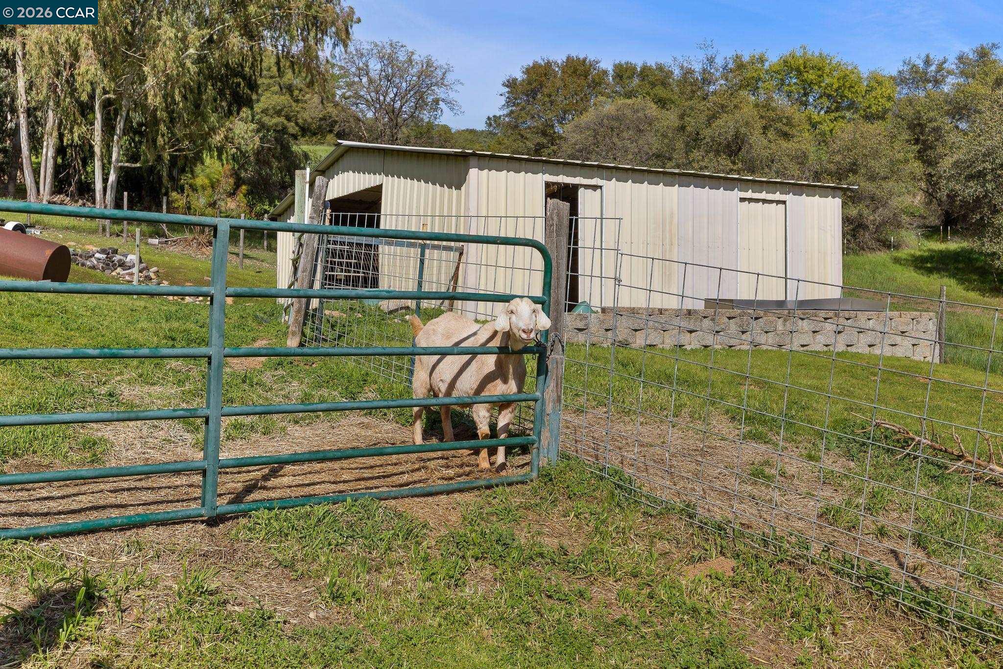 Detail Gallery Image 50 of 59 For 1055 Itow Ct, Penryn,  CA 95663 - 5 Beds | 3/1 Baths