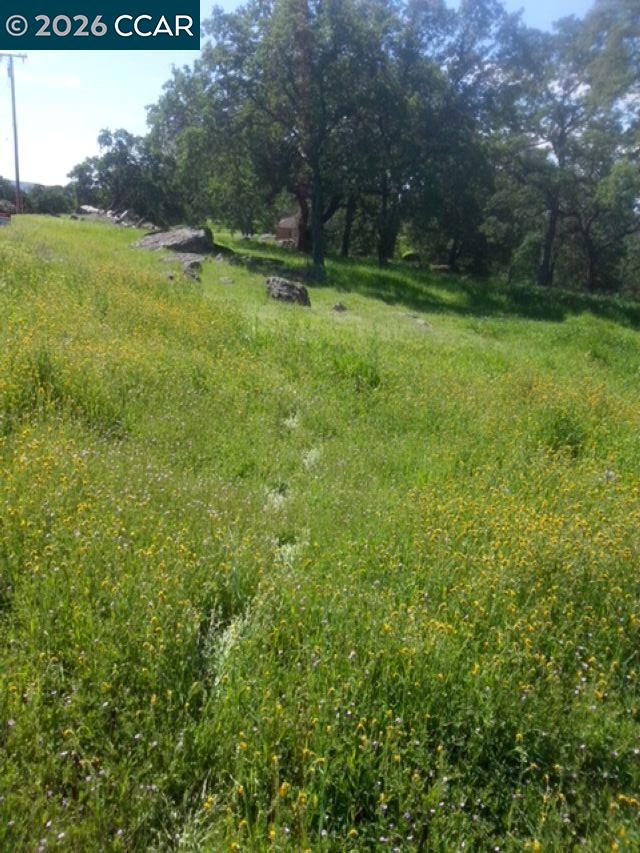 8534 Wilcox Ranch Road, Sonora, CA, 95370