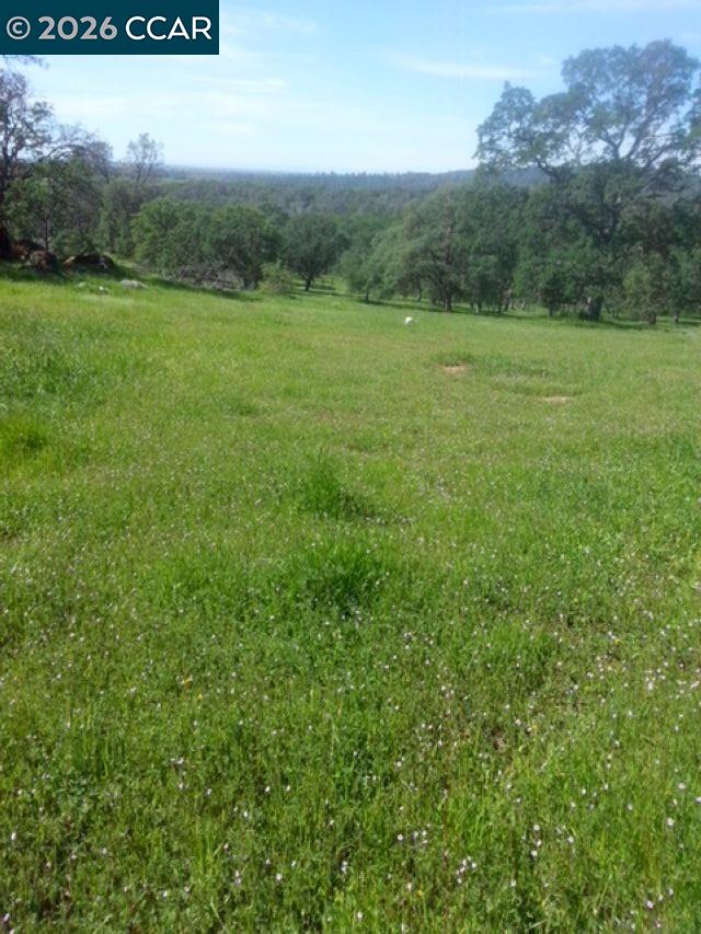 Detail Gallery Image 2 of 7 For 56 Deer Hollow Trail, –,  CA 95918 - – Beds | – Baths