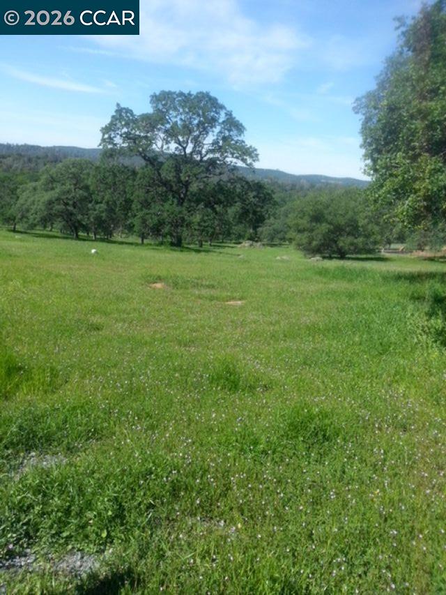 Detail Gallery Image 3 of 7 For 56 Deer Hollow Trail, –,  CA 95918 - – Beds | – Baths