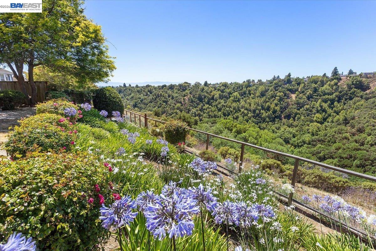 Detail Gallery Image 49 of 50 For 6444 Boone Dr, Castro Valley,  CA 94552 - 4 Beds | 3 Baths