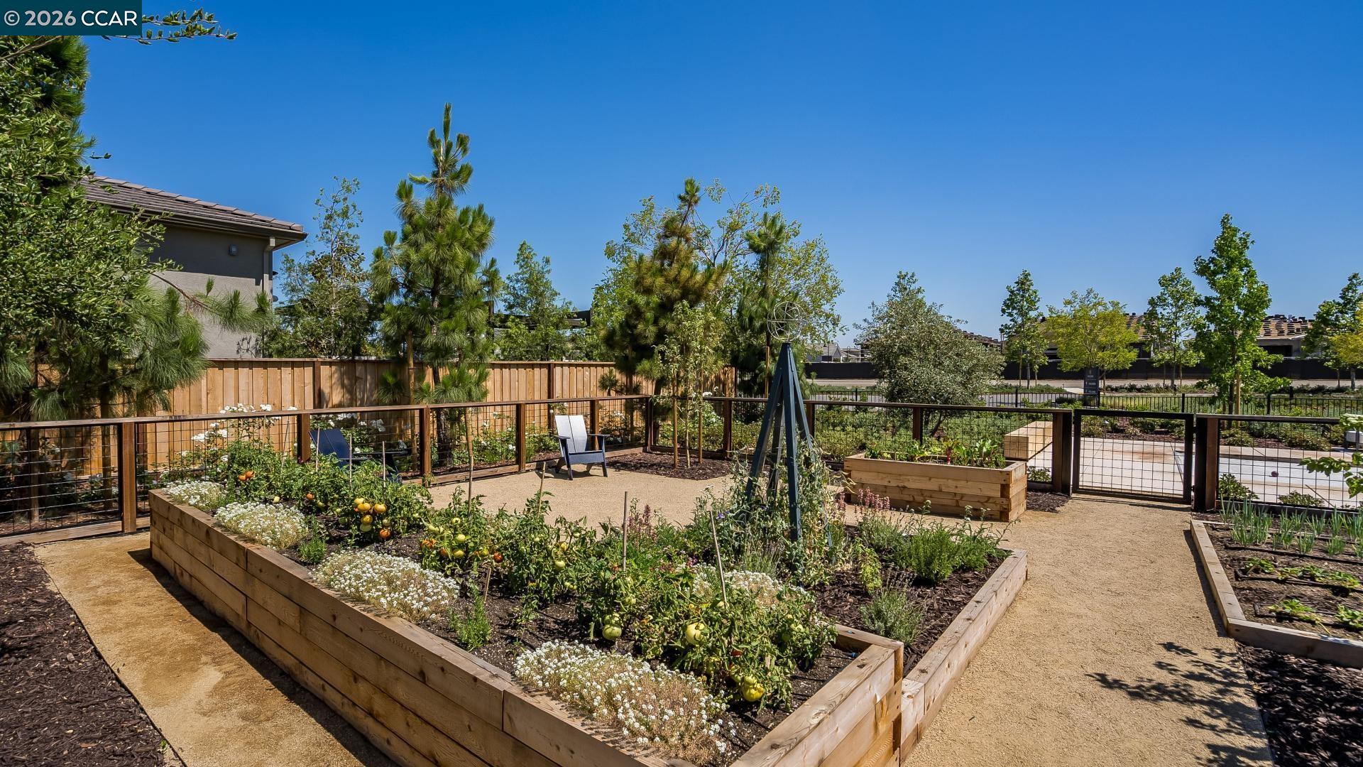 Detail Gallery Image 35 of 42 For 1859 Serene Court, Tracy,  CA 95377 - 2 Beds | 2 Baths