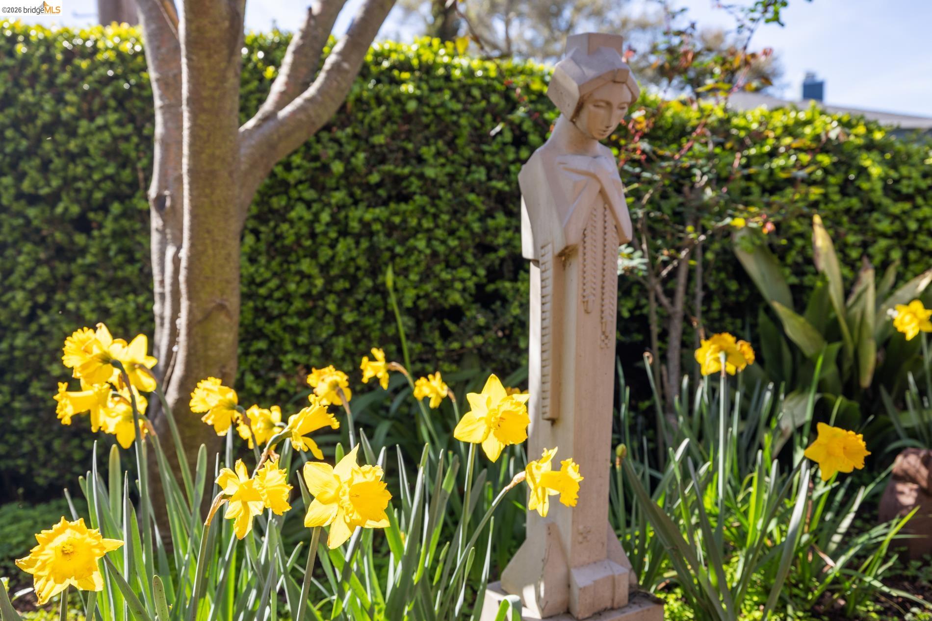 Detail Gallery Image 4 of 60 For 101 Windsor Ave., Kensington,  CA 94708 - 4 Beds | 2/1 Baths