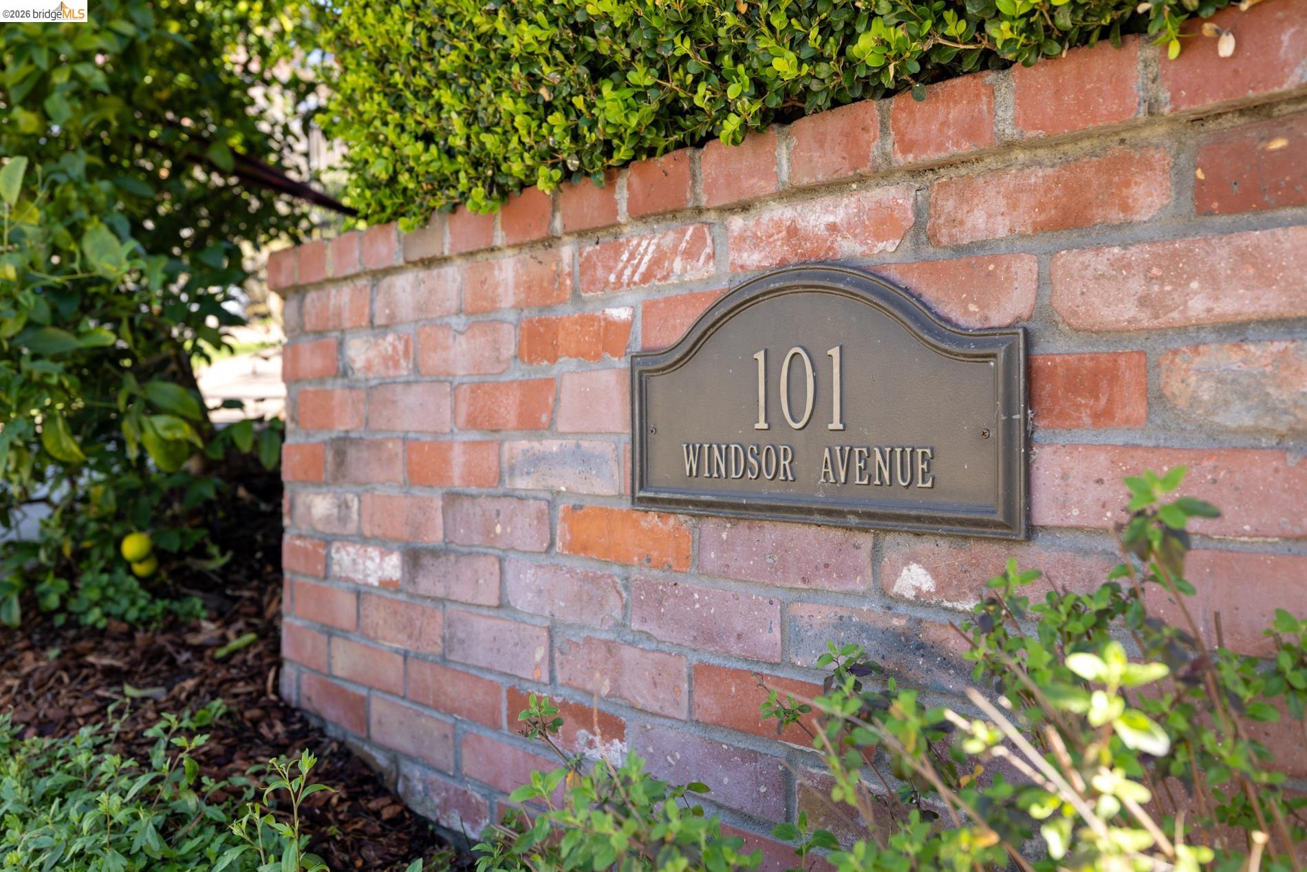 Detail Gallery Image 5 of 60 For 101 Windsor Ave., Kensington,  CA 94708 - 4 Beds | 2/1 Baths