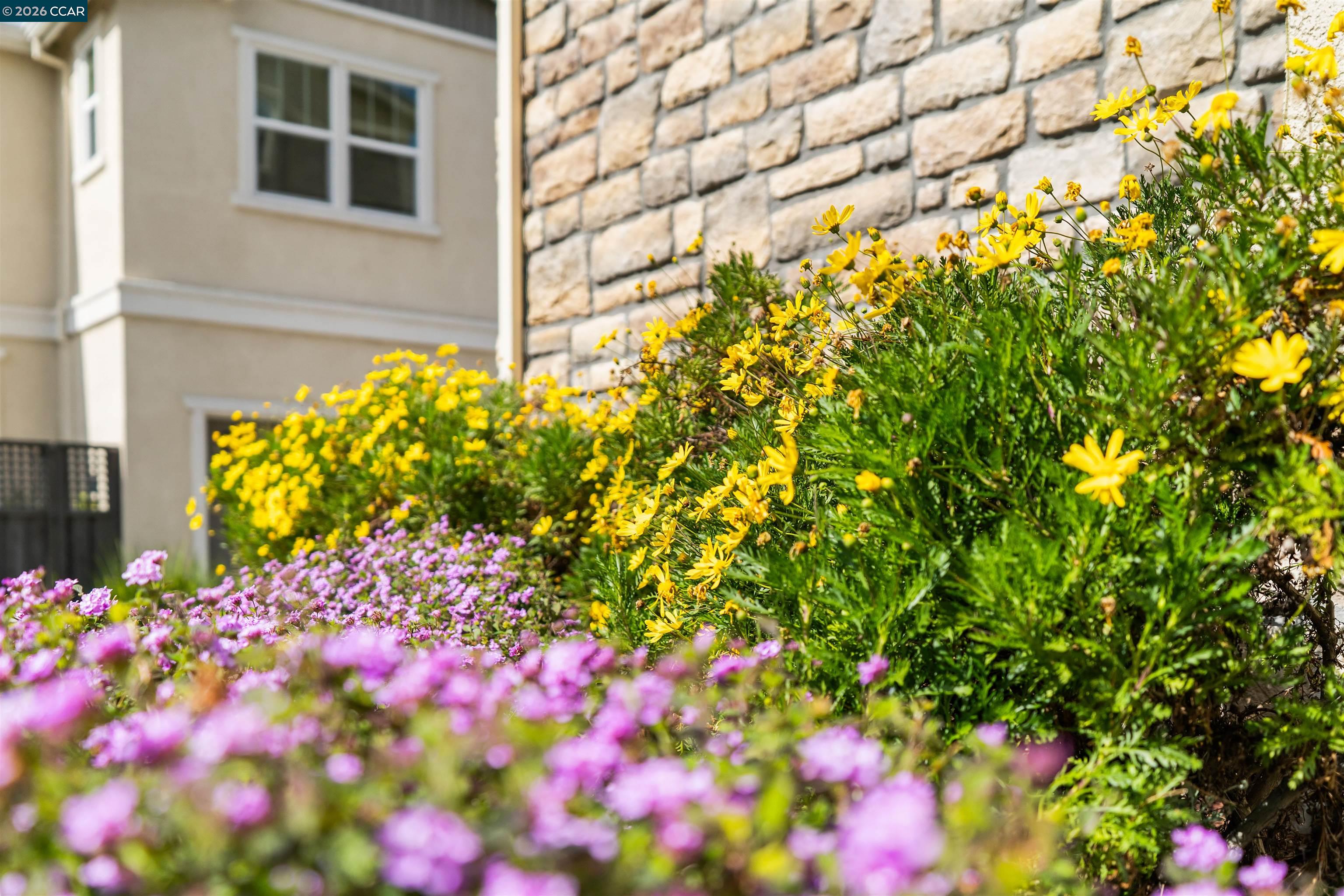 Detail Gallery Image 5 of 54 For 3016 Threecastles Way, Dublin,  CA 94568 - 4 Beds | 3/1 Baths