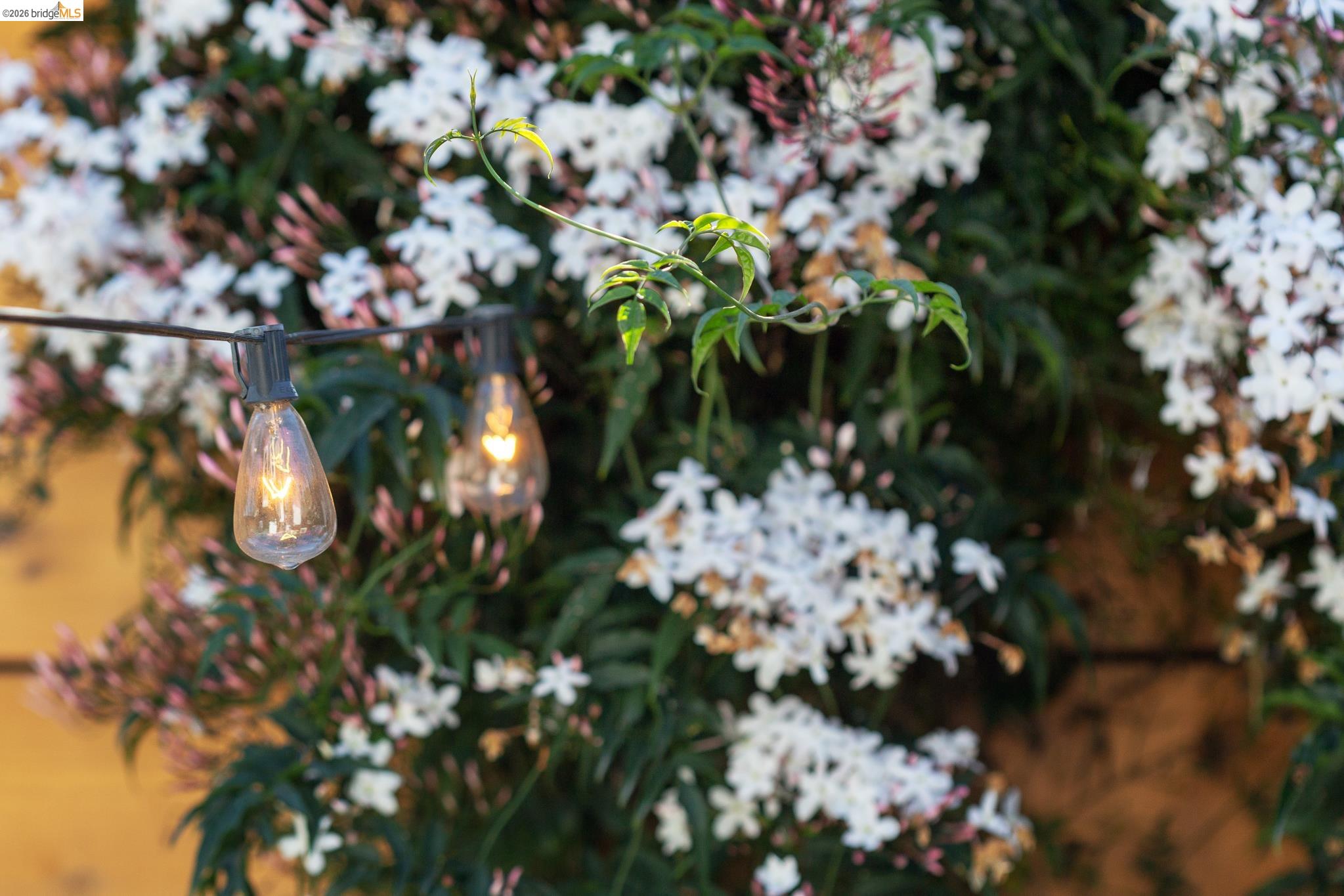 Detail Gallery Image 42 of 47 For 1331 Excelsior Ave, Oakland,  CA 94602 - 3 Beds | 2 Baths