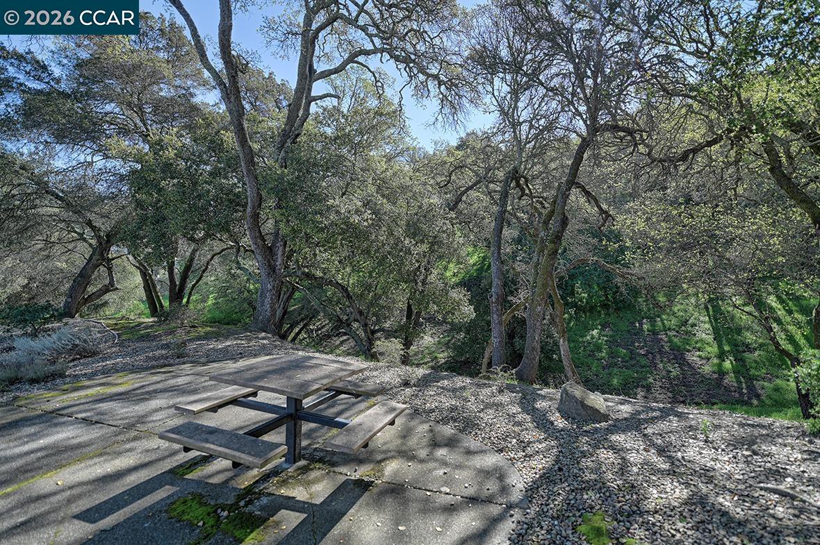 Photo #46: 41125836 Listing: Photo #46