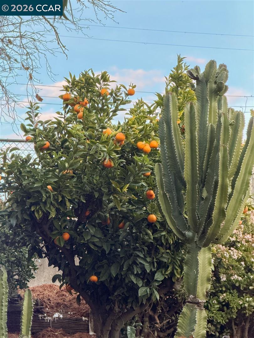 Detail Gallery Image 54 of 60 For 6055 Majestic Ave, Oakland,  CA 94605 - 5 Beds | 3 Baths