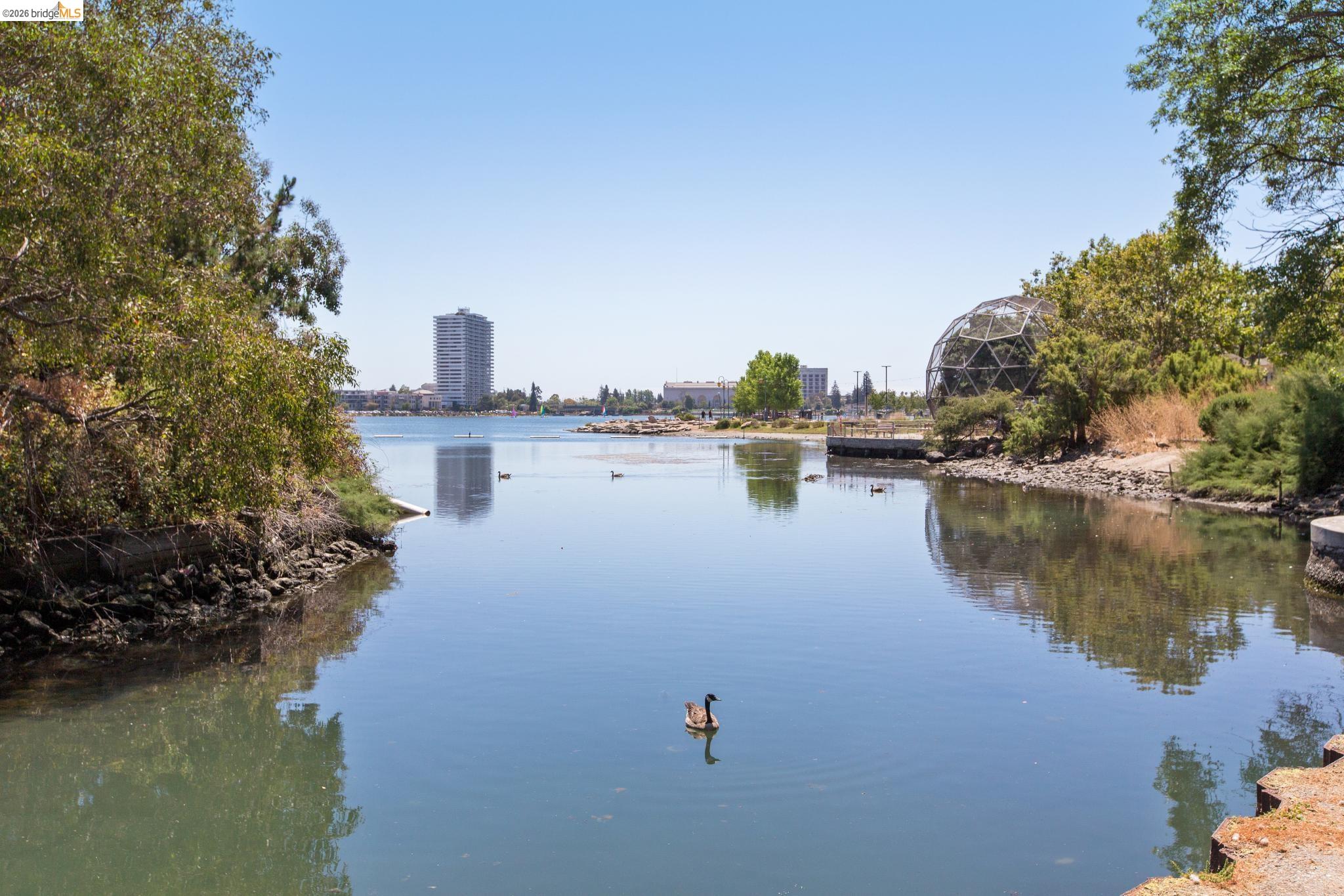 Photo #44: 41125853 Listing: Photo #44