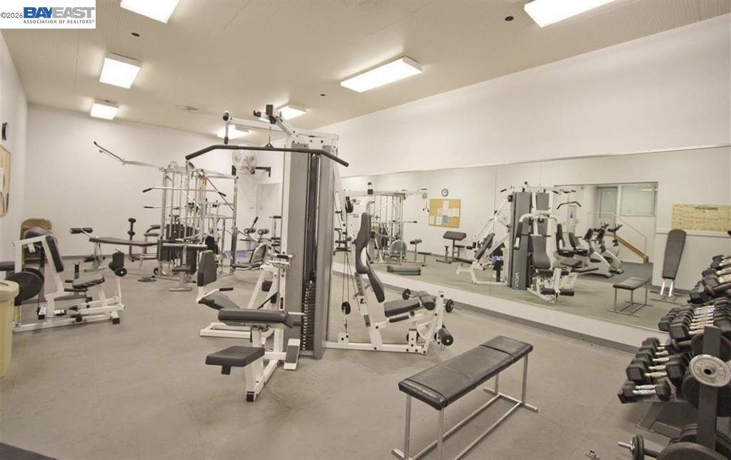 Photo #10: 41125860 Listing: Photo #10