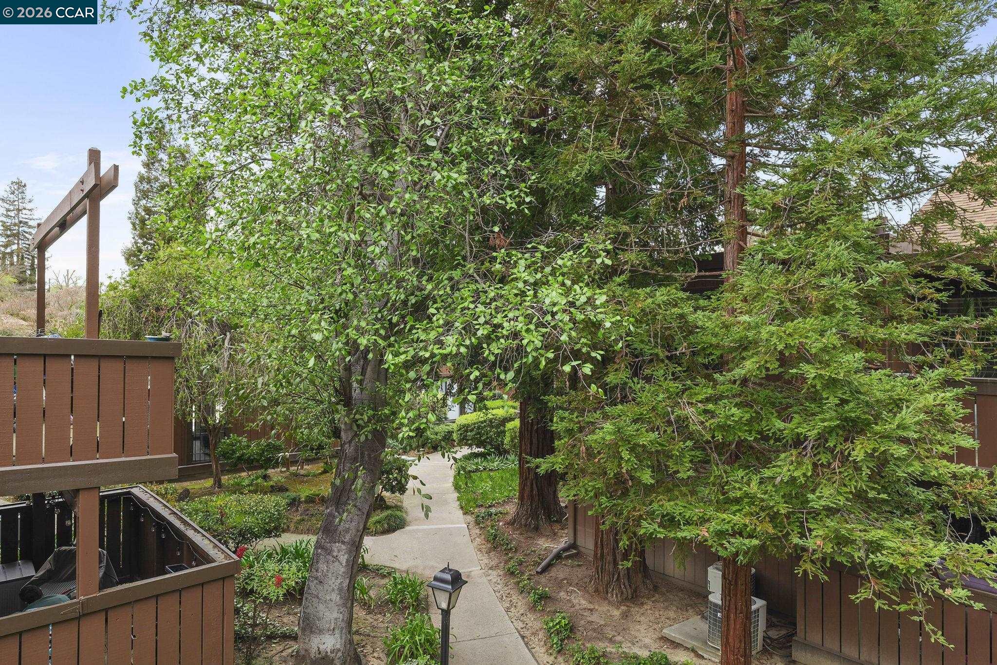 Photo #19: 41125863 Listing: Photo #19