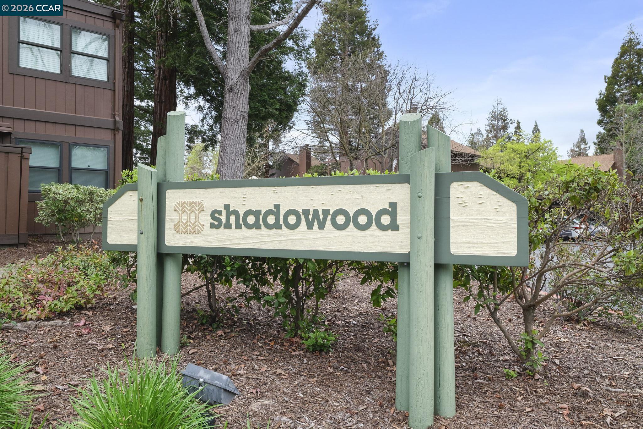 Photo #23: 41125863 Listing: Photo #23