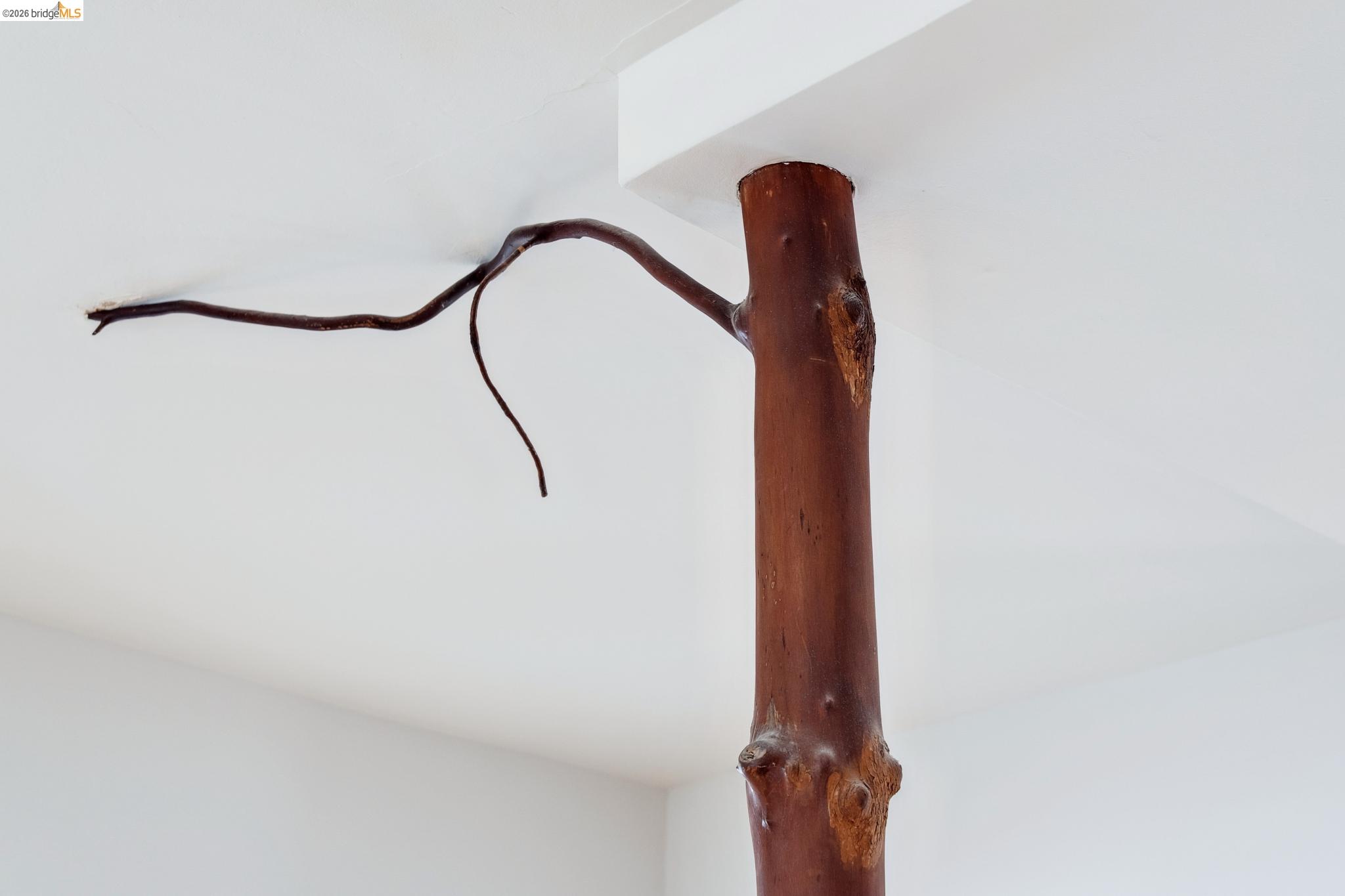 Detail Gallery Image 24 of 60 For 1234 Stannage Ave, Berkeley,  CA 94706 - 2 Beds | 1 Baths