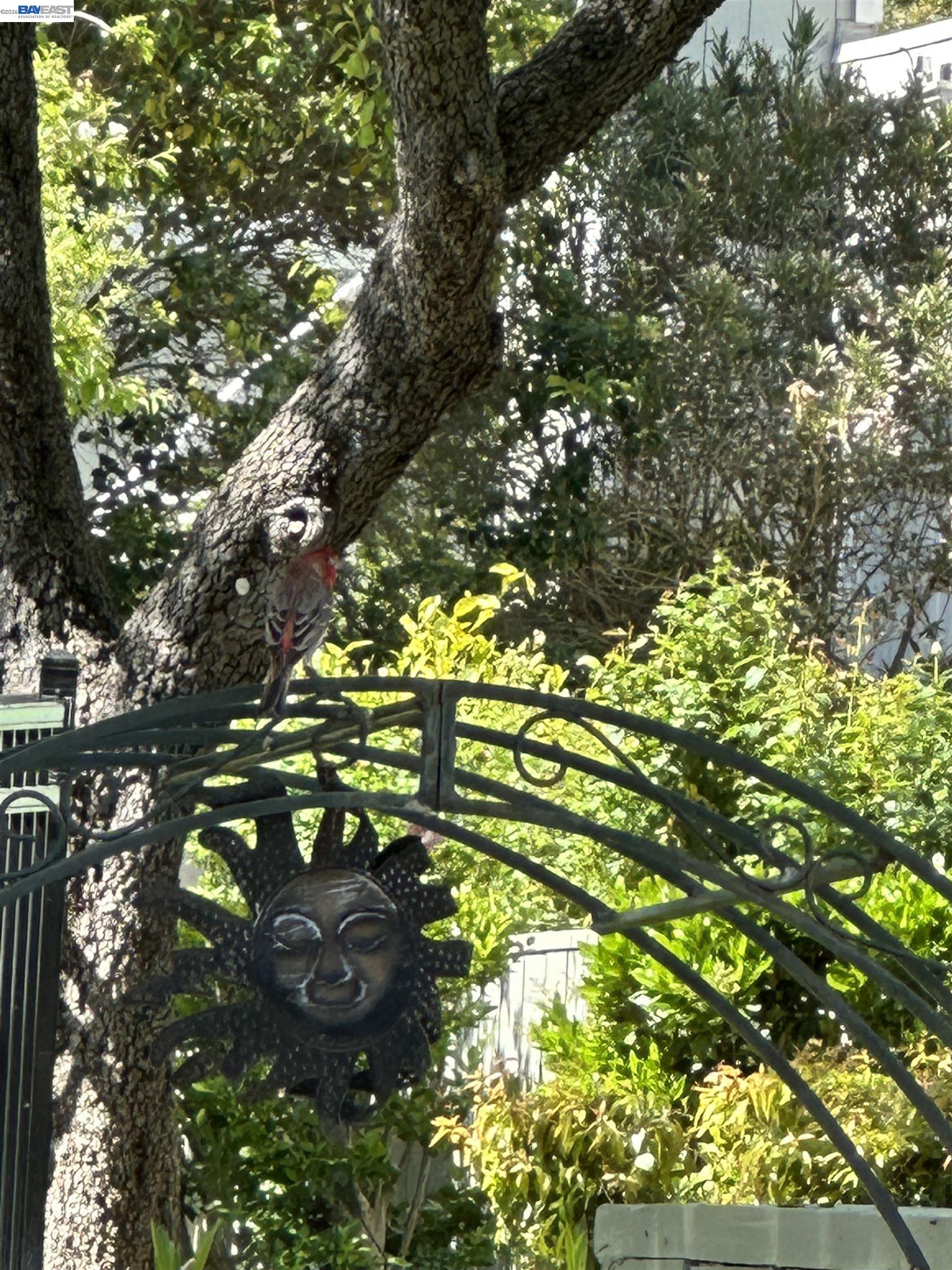 Detail Gallery Image 34 of 52 For 7332 Stonedale Dr, Pleasanton,  CA 94588 - 3 Beds | 2/1 Baths