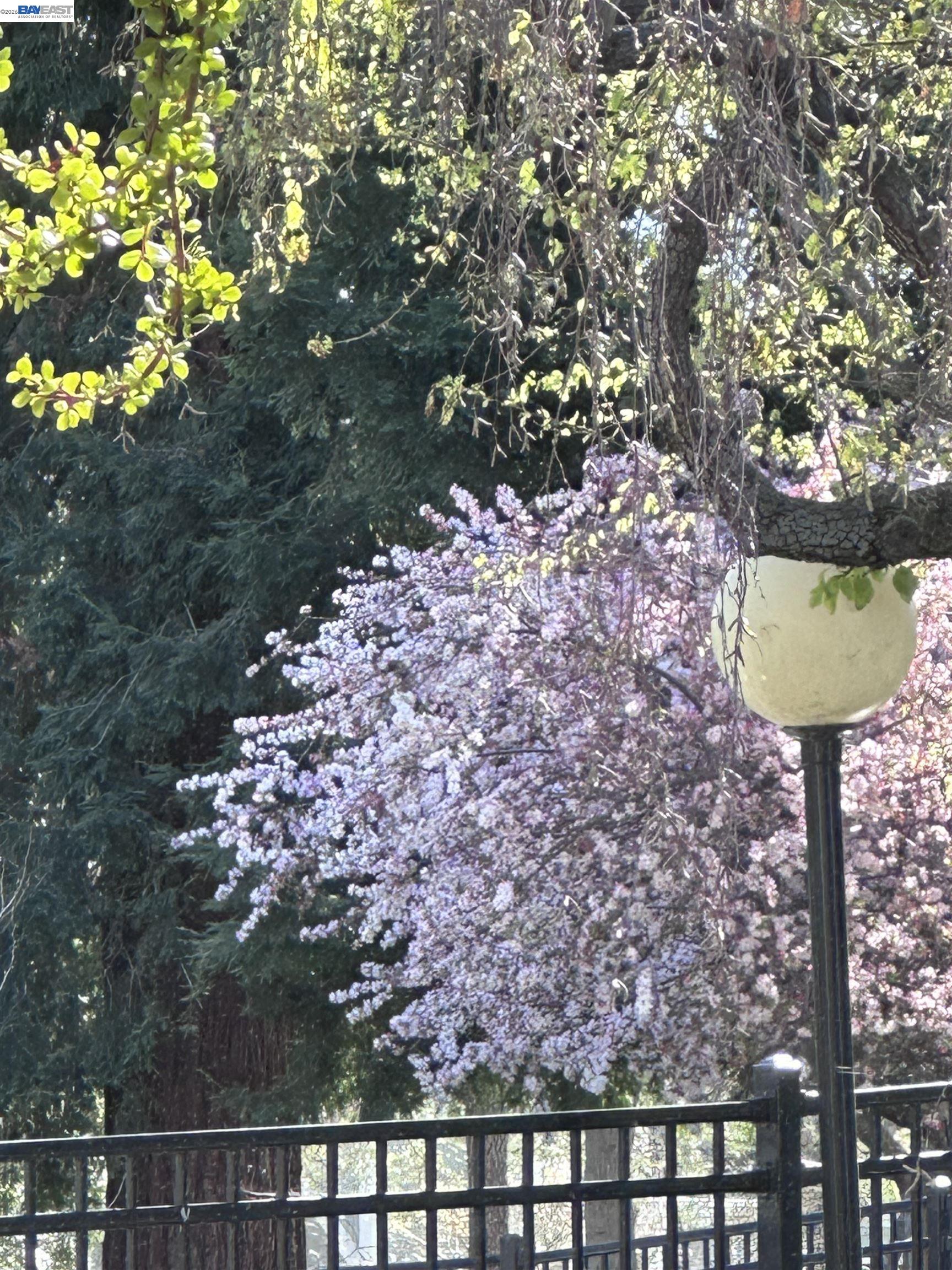 Photo #35: 41125884 Listing: Photo #35