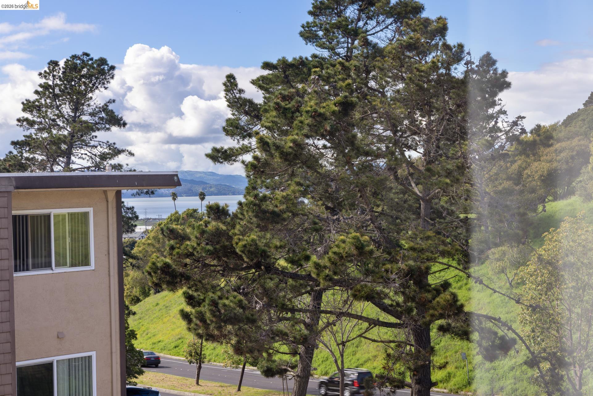 Photo #22: 41125885 Listing: Photo #22